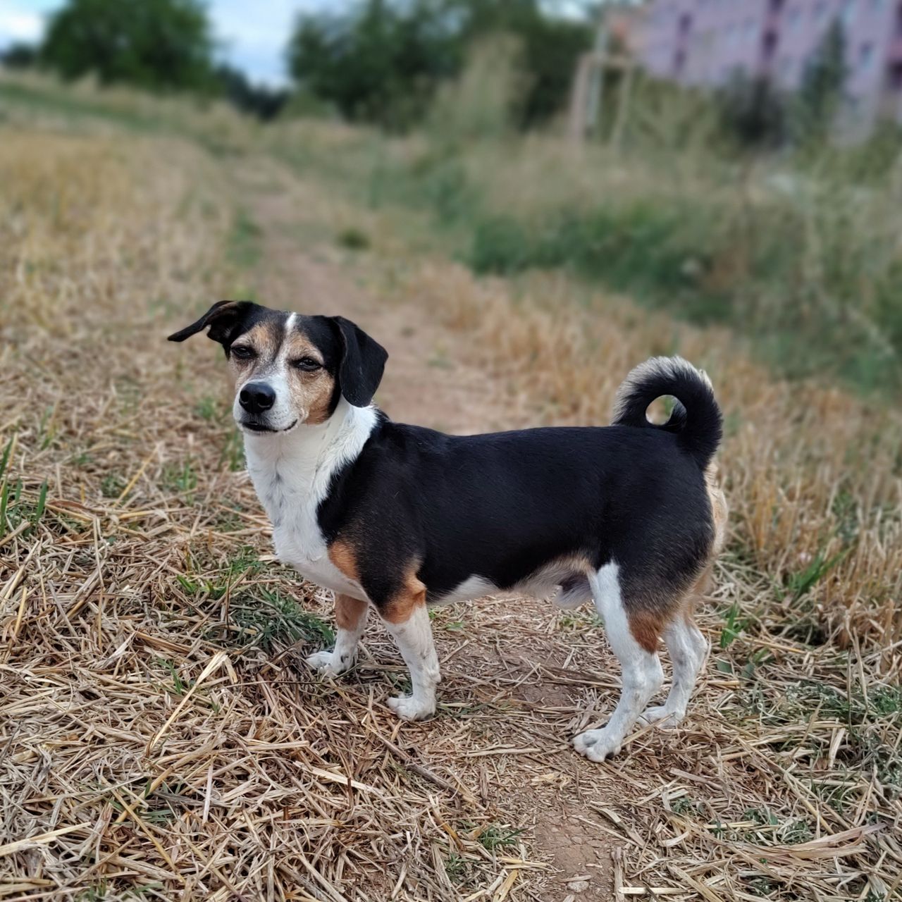 Soutěžní fotografie - Čak,  Ostatní