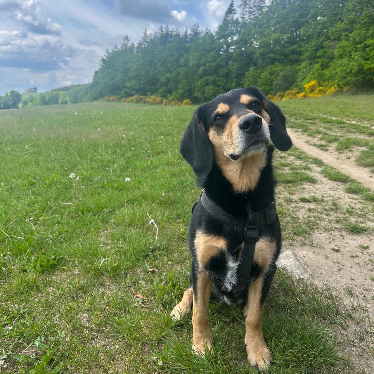 Soutěžní fotografie - Beny,  Ostatní