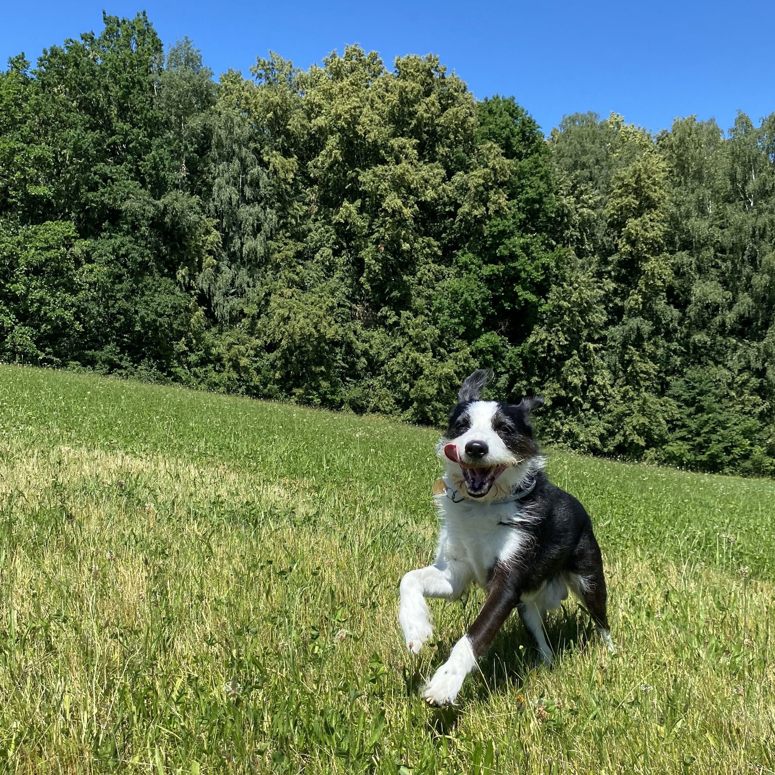 Soutěžní fotografie - Kenny,  Ostatní