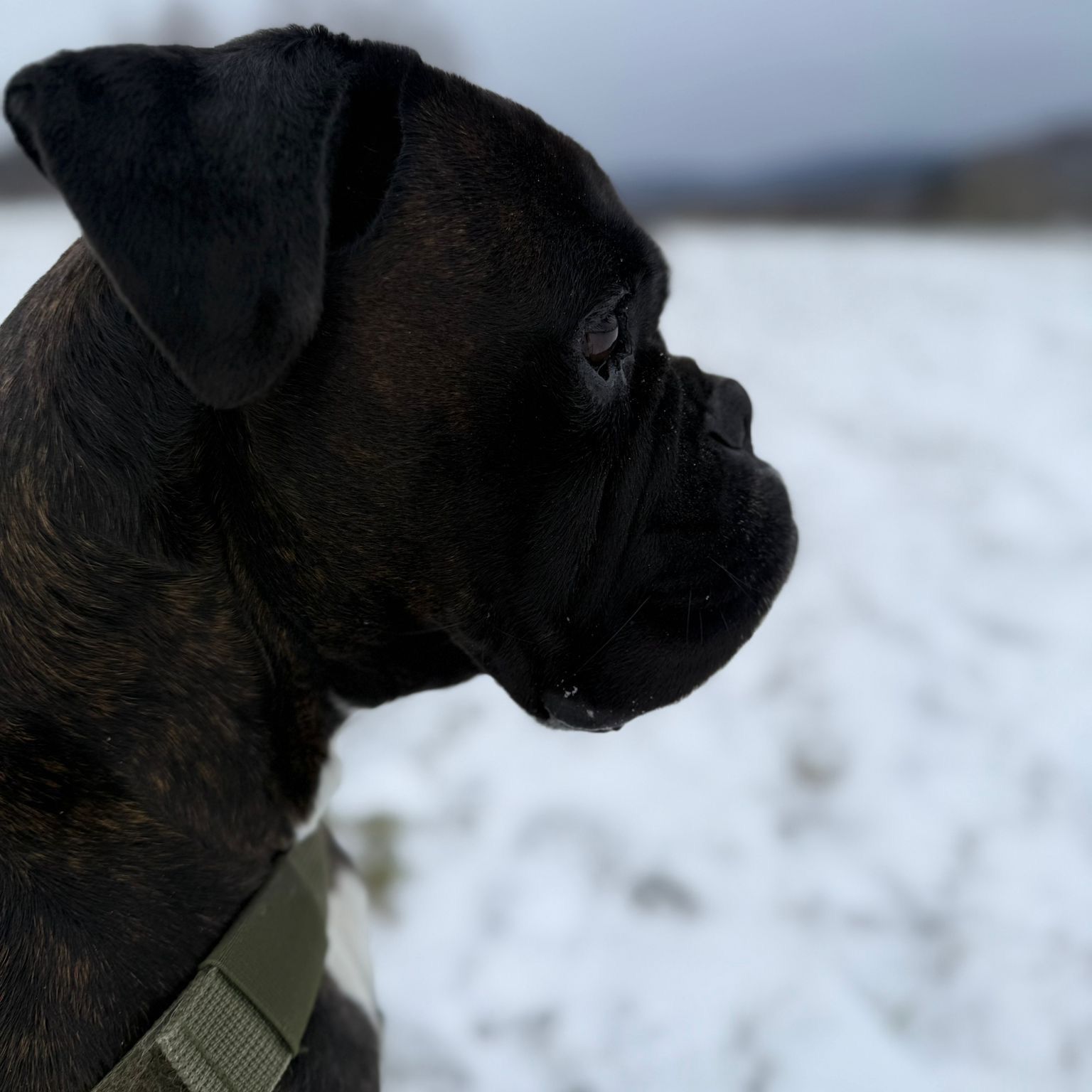 Soutěžní fotografie - Zoe,  Ostatní