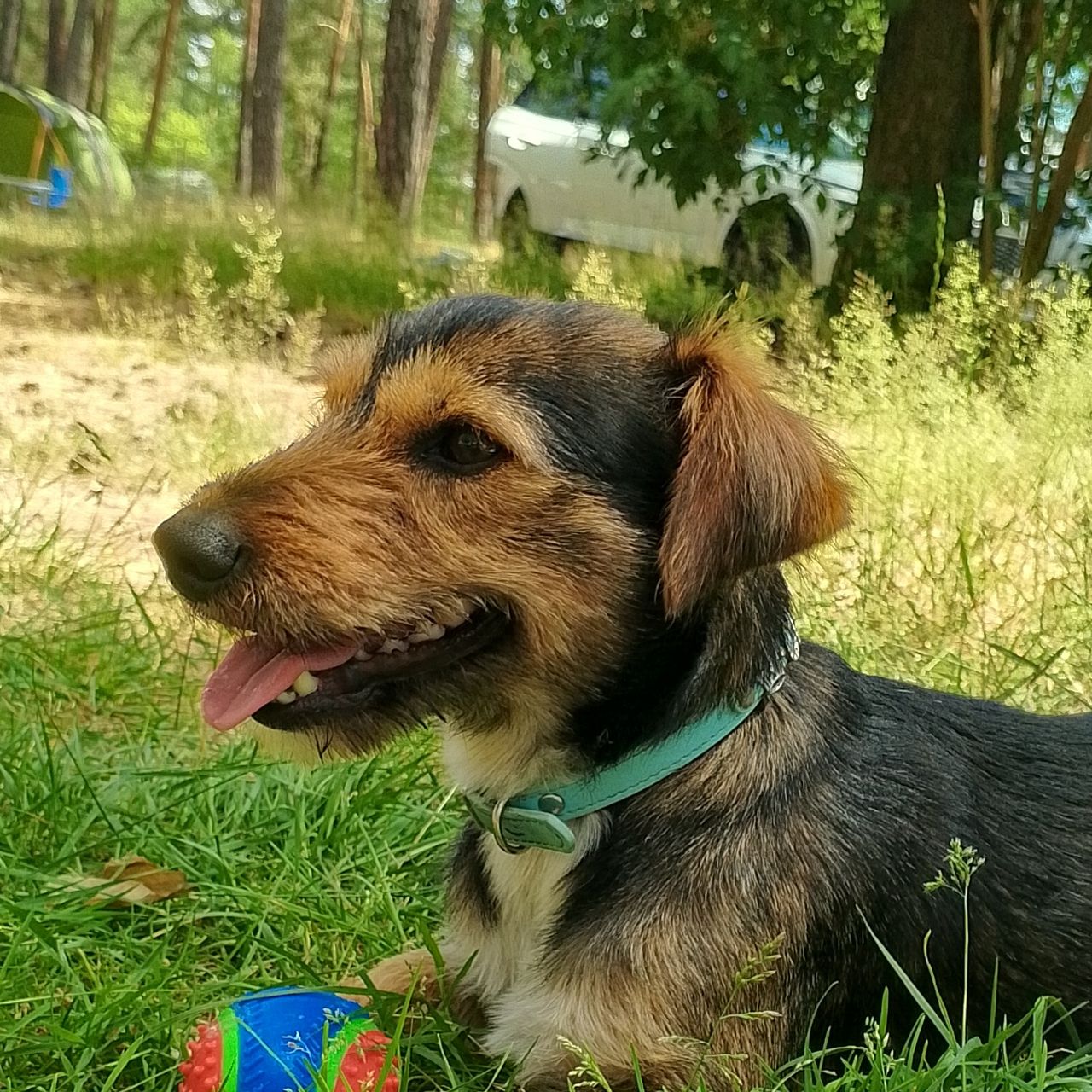 Soutěžní fotografie - Chicco,  Ostatní
