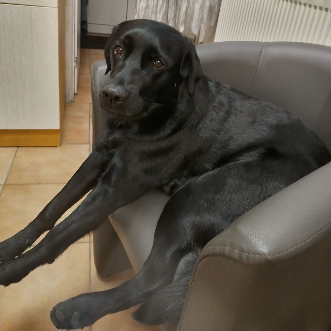 Soutěžní fotografie - Pepina,  Ostatní