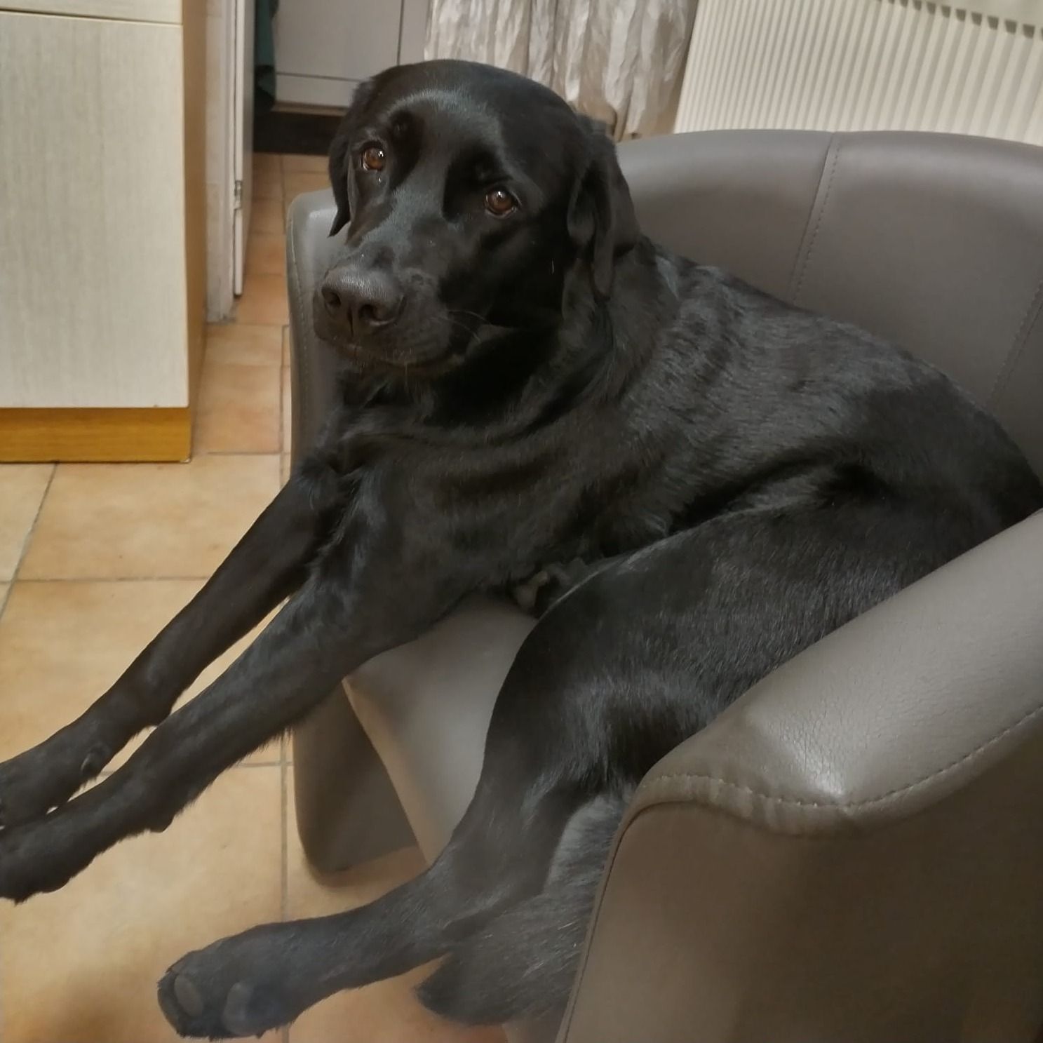 Soutěžní fotografie - Pepina,  Ostatní