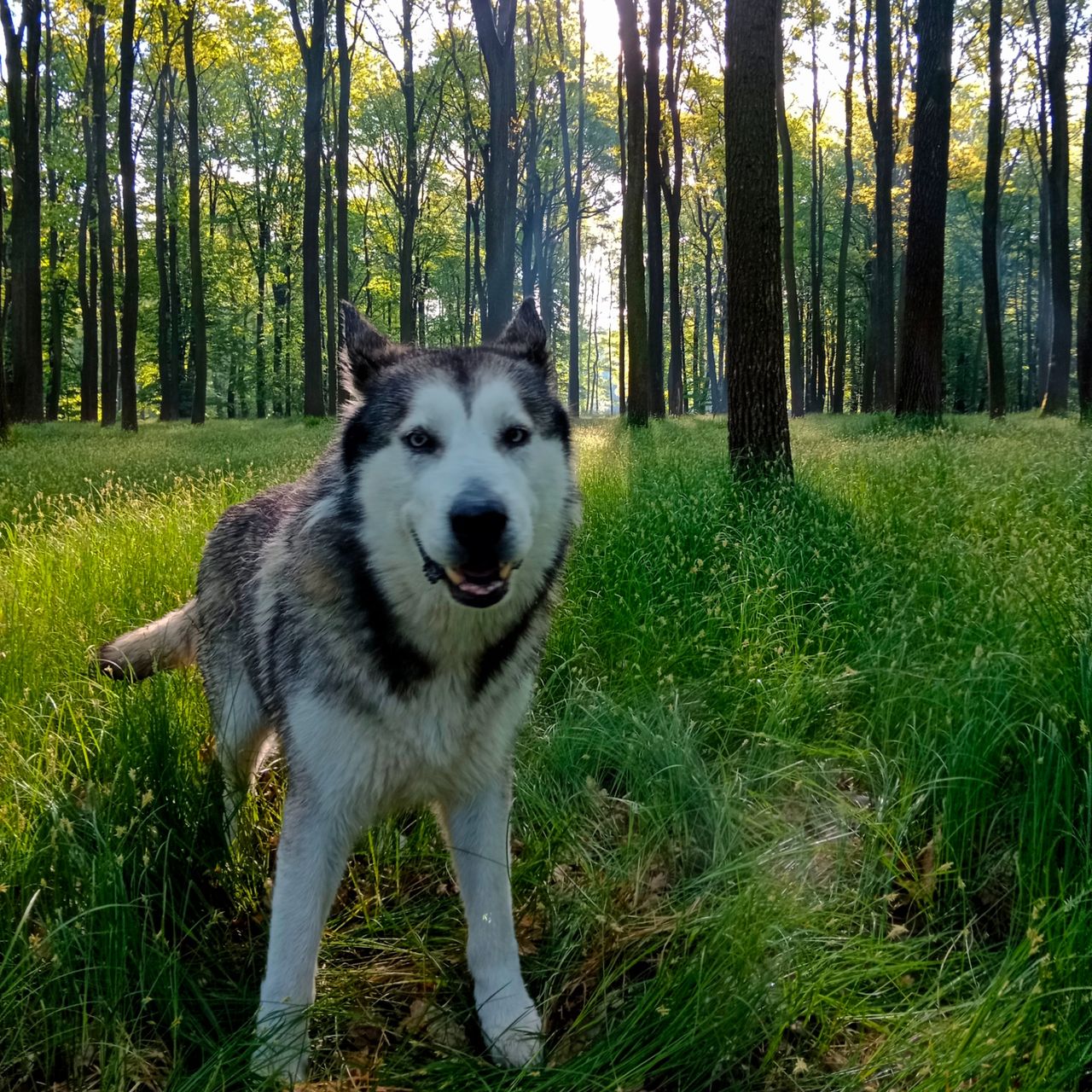 Soutěžní fotografie - Berry,  Ostatní