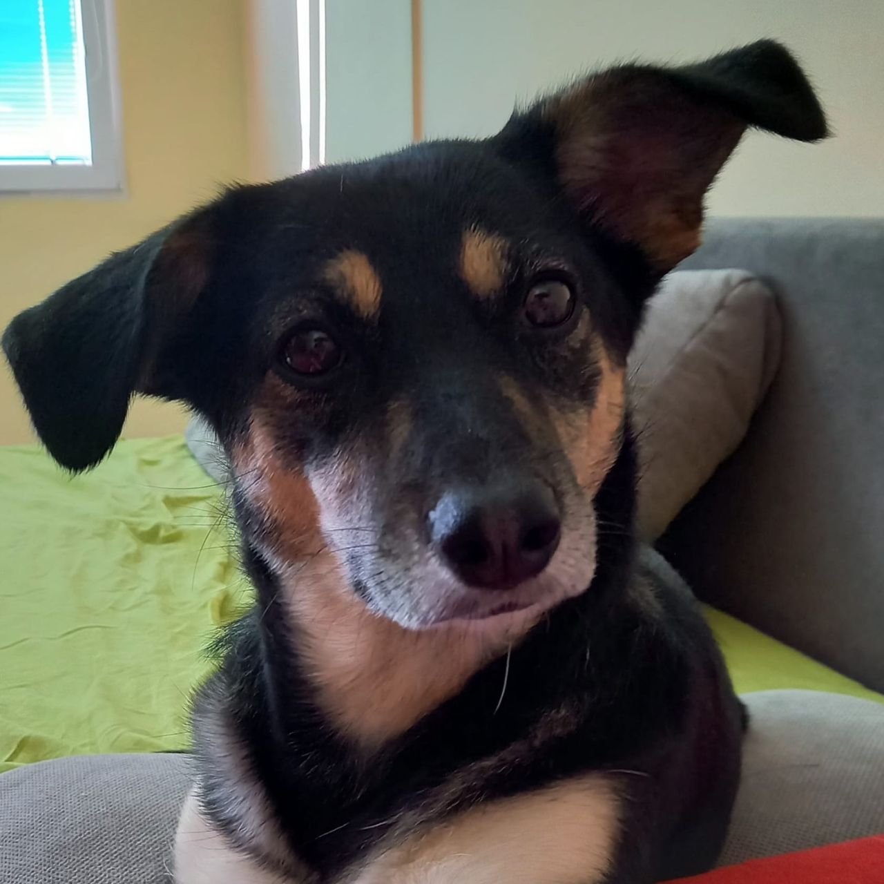 Soutěžní fotografie - Ruby,  Ostatní