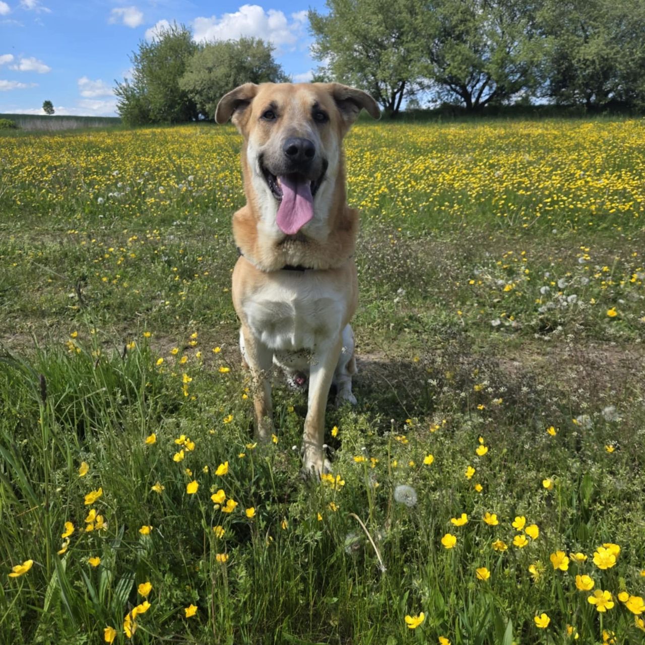 Soutěžní fotografie - Dan,  Ostatní