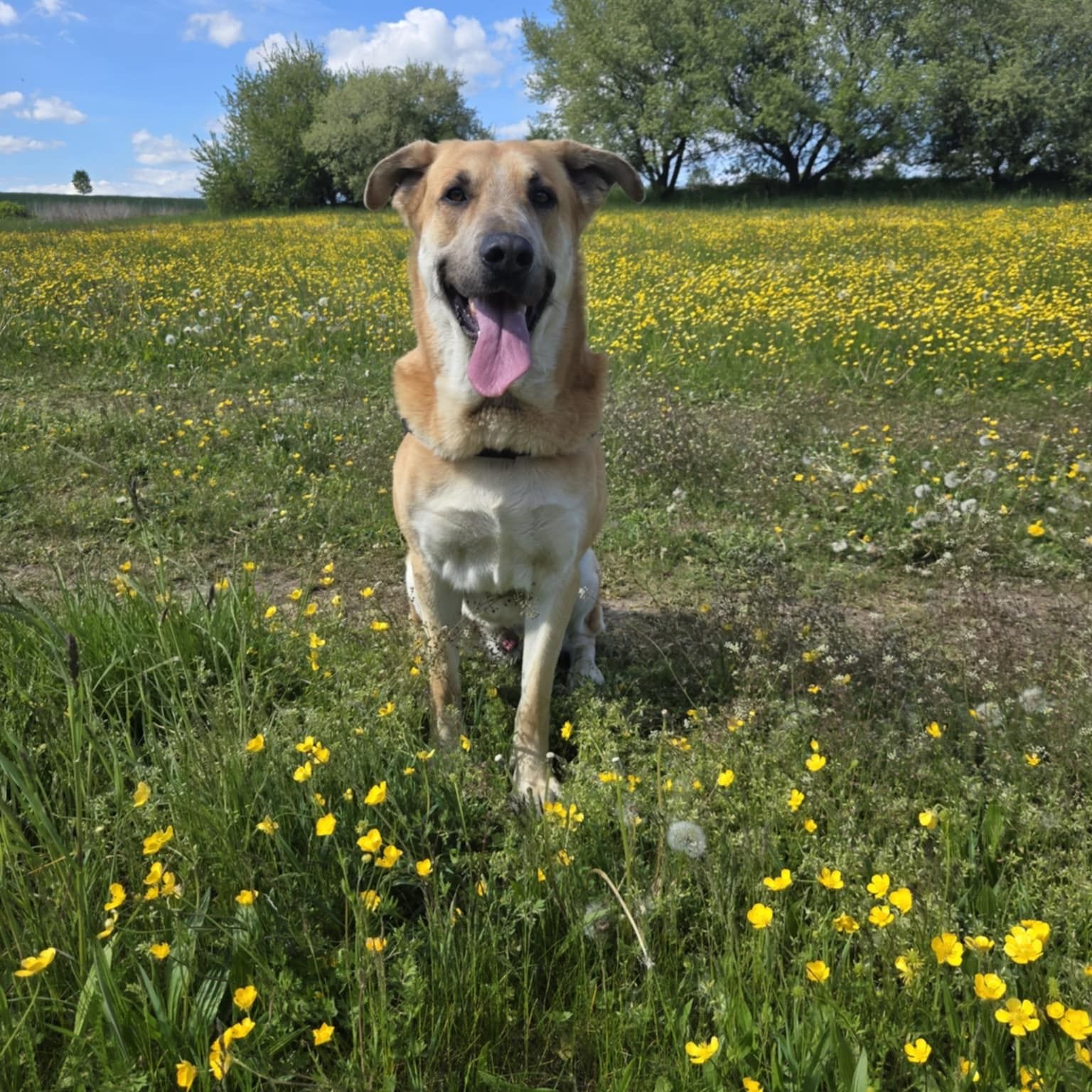 Soutěžní fotografie - Dan,  Ostatní