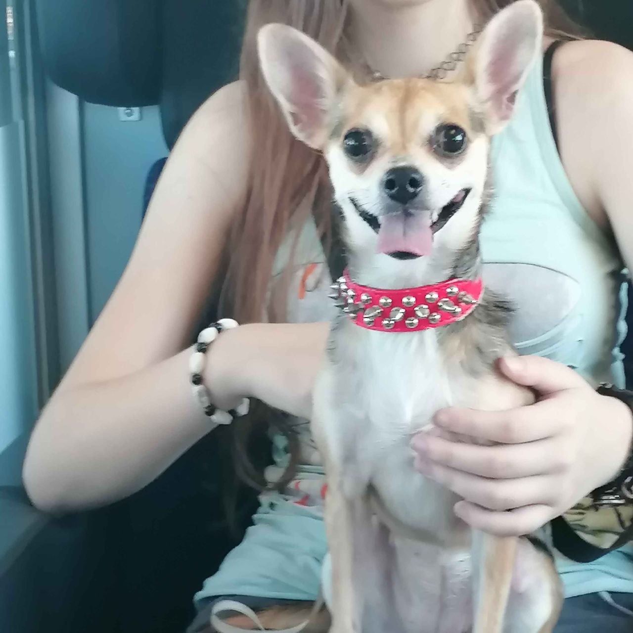 Soutěžní fotografie - CHika,  Ostatní