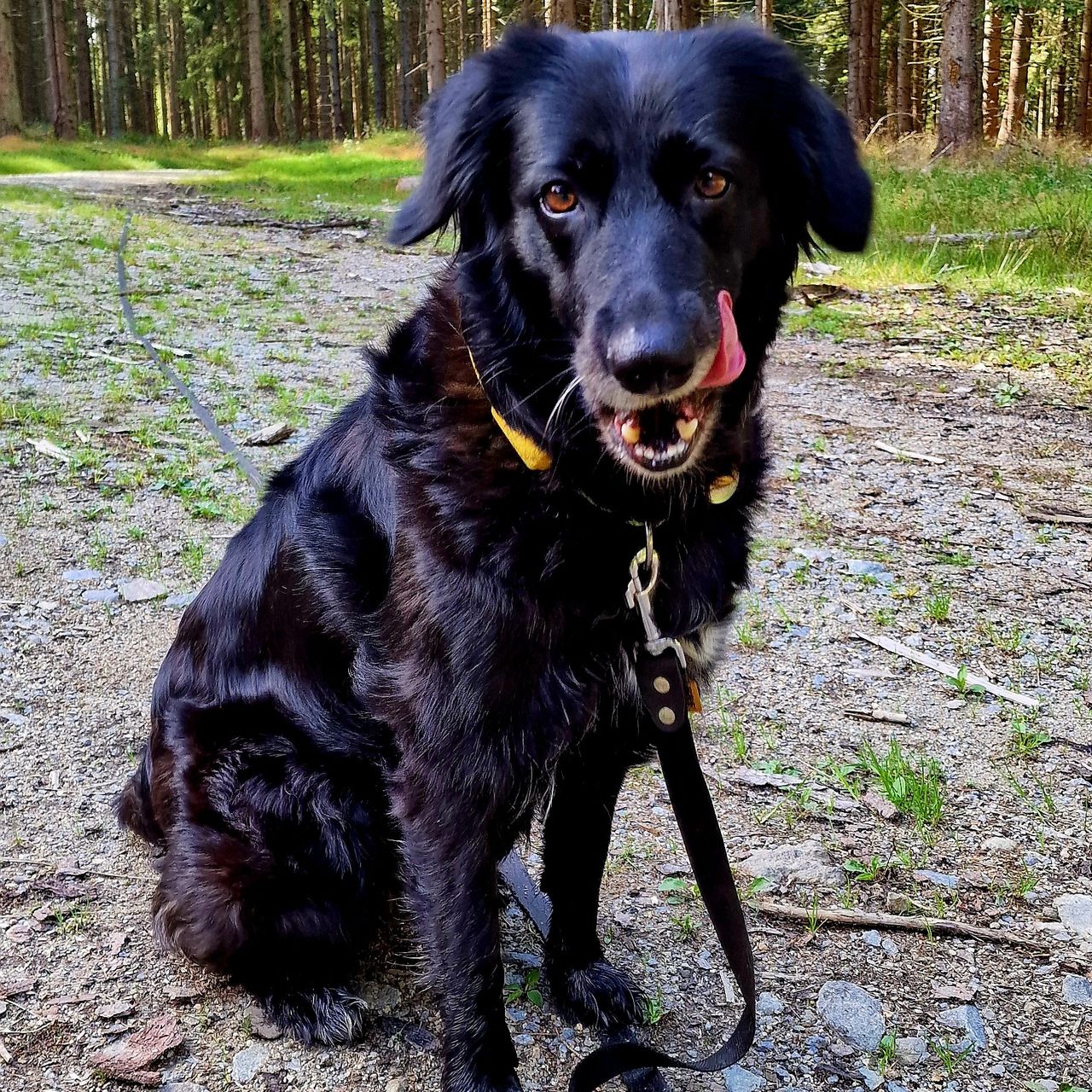 Soutěžní fotografie - Brixie,  Ostatní