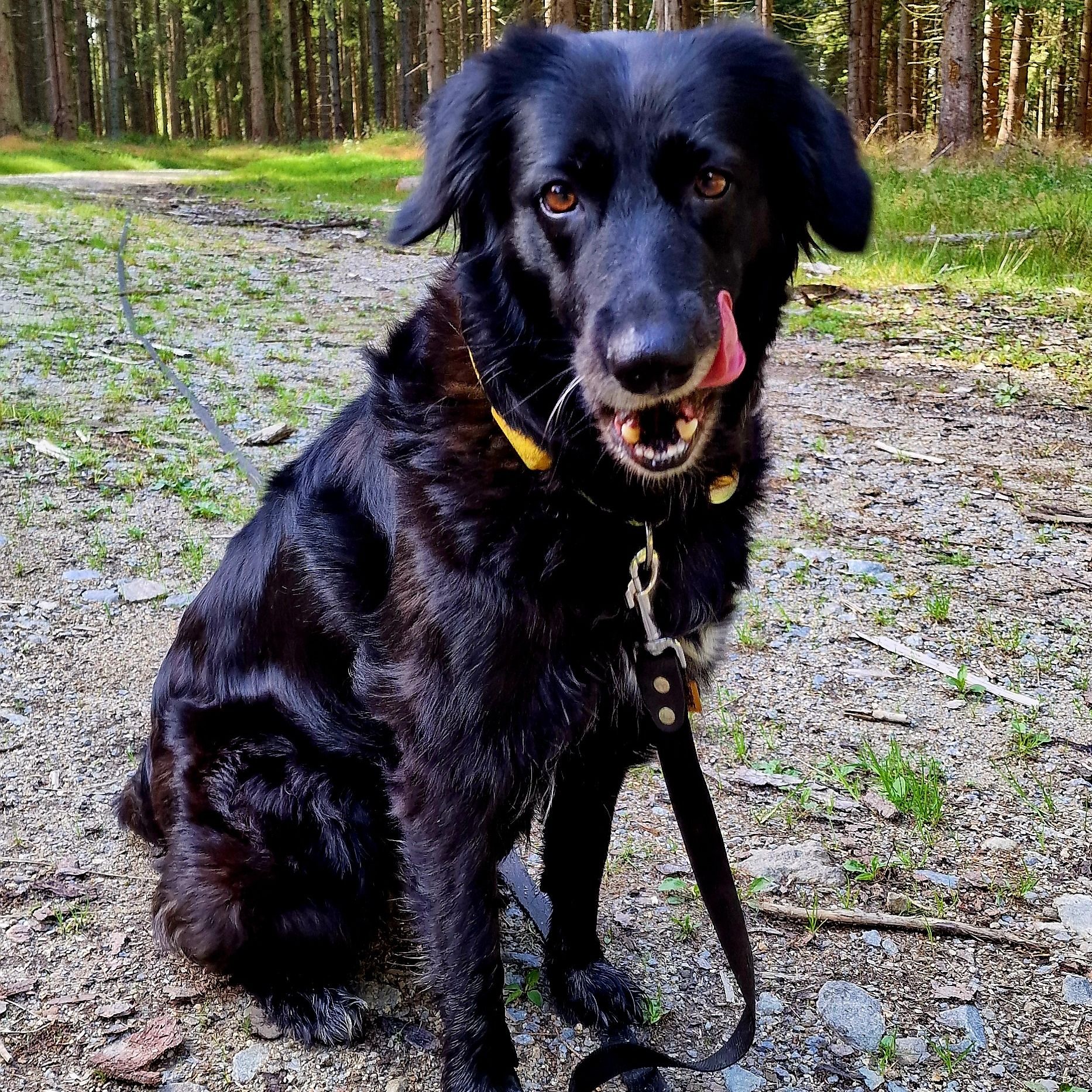 Soutěžní fotografie - Brixie,  Ostatní