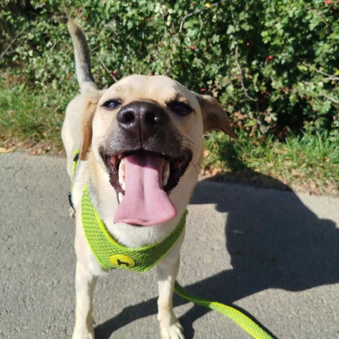 Soutěžní fotografie - Fidorek,  Ostatní