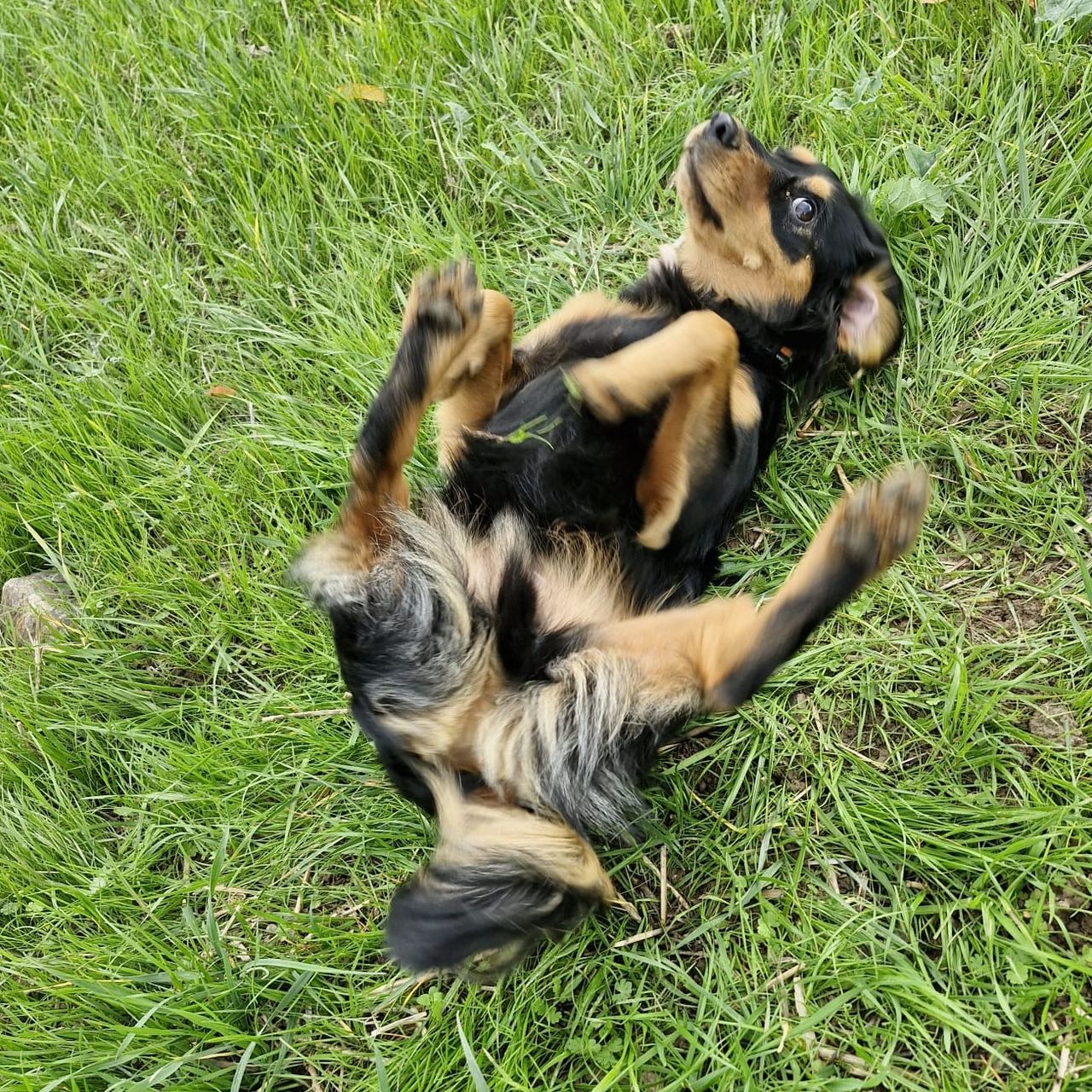 Soutěžní fotografie - Kuba,  Ostatní