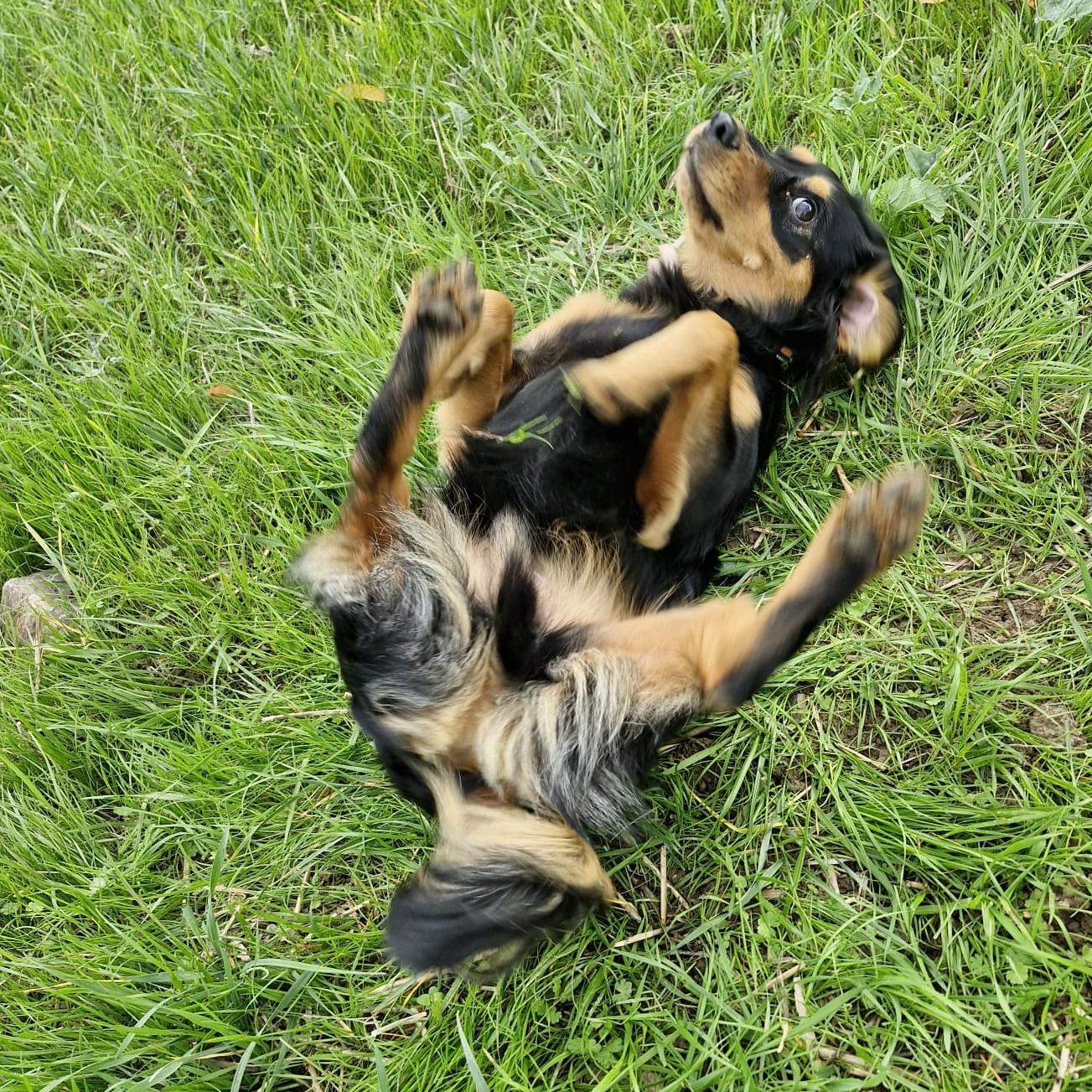 Soutěžní fotografie - Kuba,  Ostatní