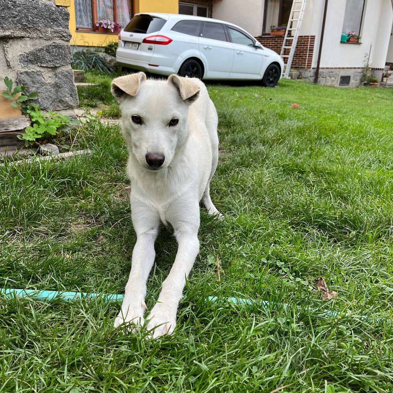 Soutěžní fotografie - Bonnie,  Ostatní