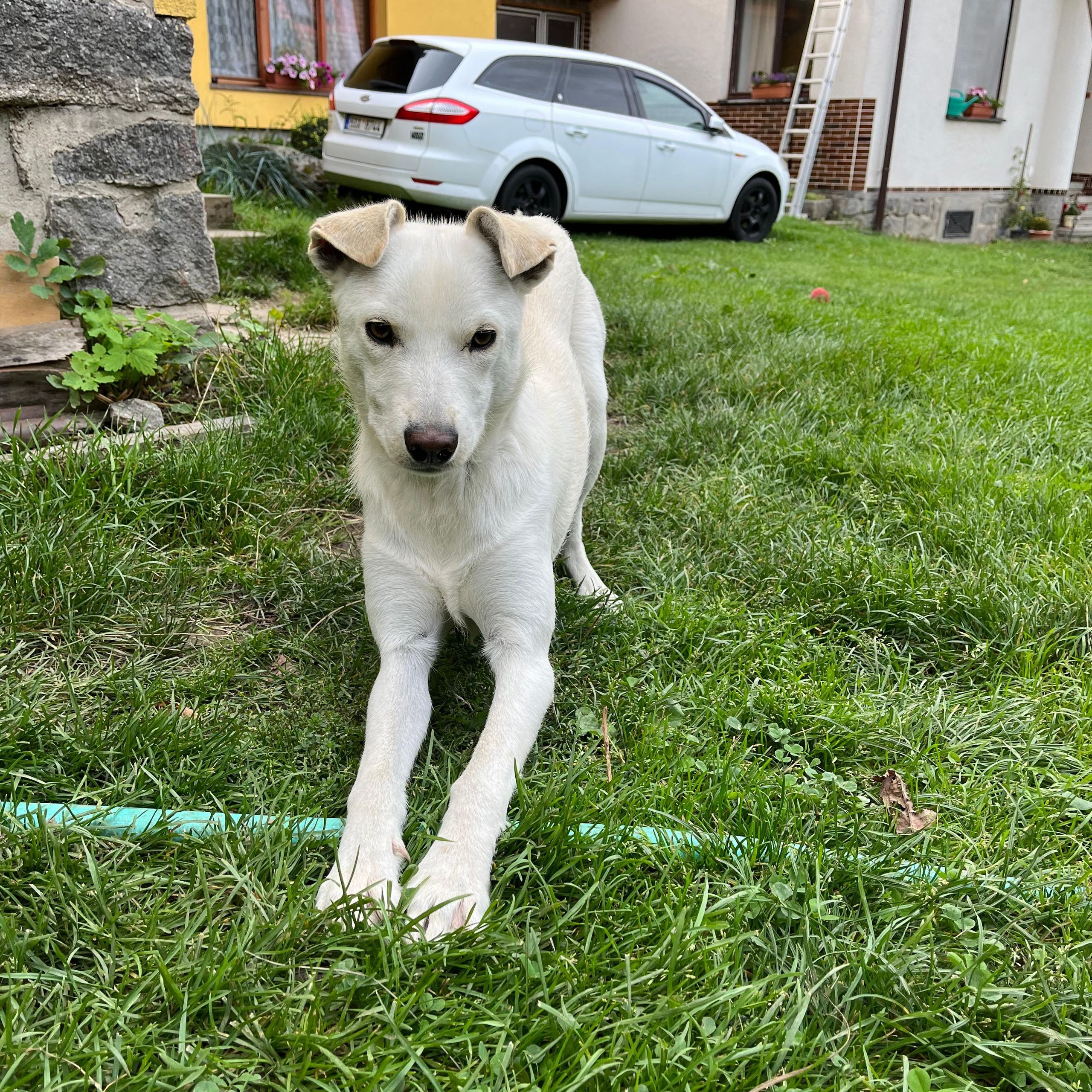 Soutěžní fotografie - Bonnie,  Ostatní