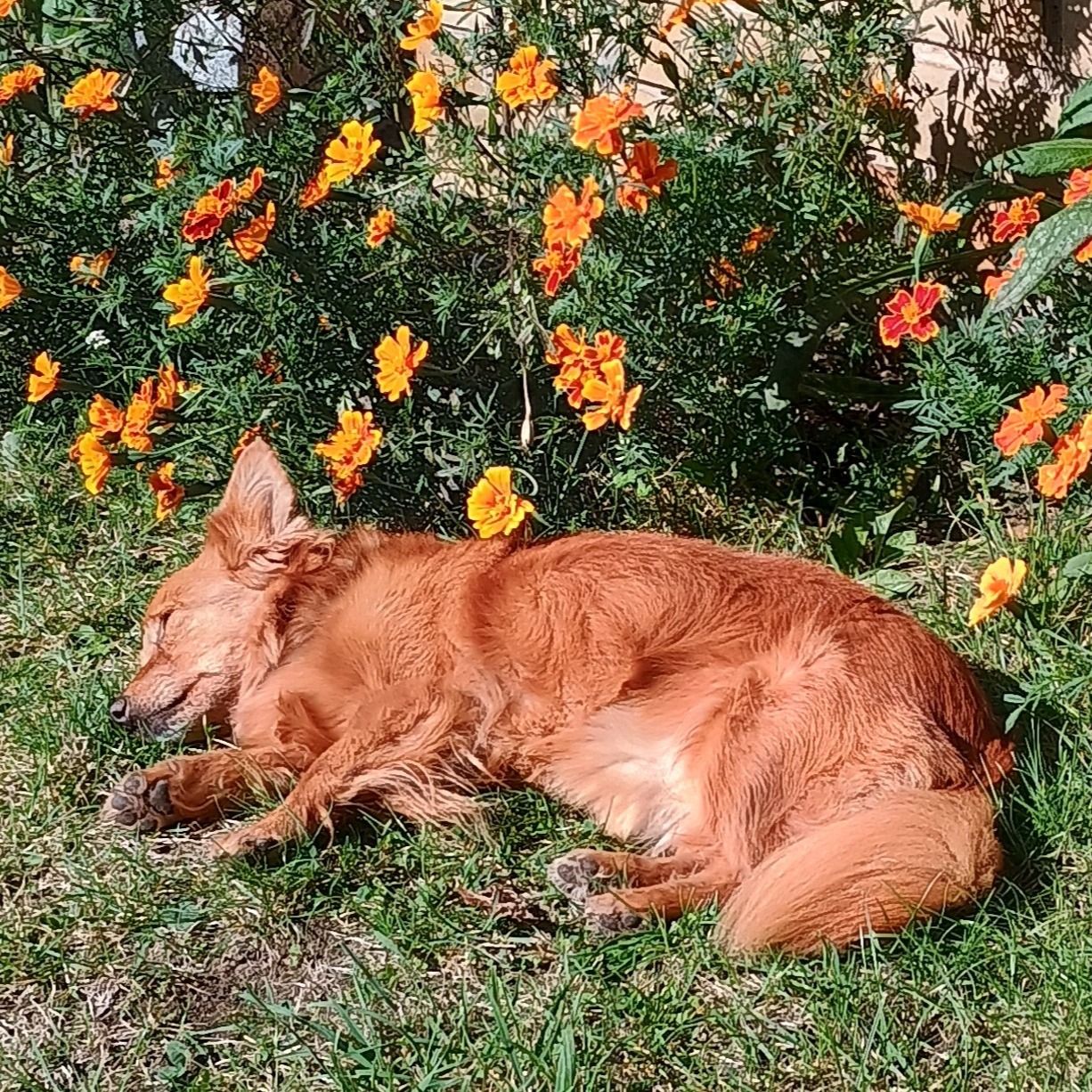 Soutěžní fotografie - Teri,  Ostatní
