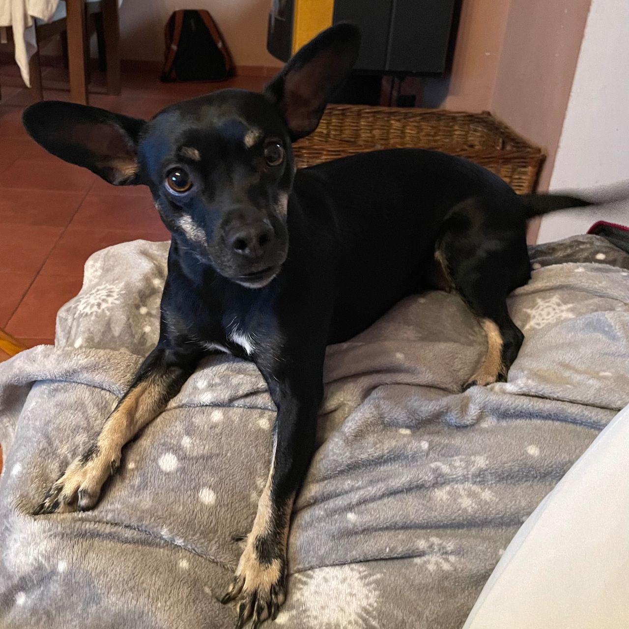 Soutěžní fotografie - Rocky,  Ostatní