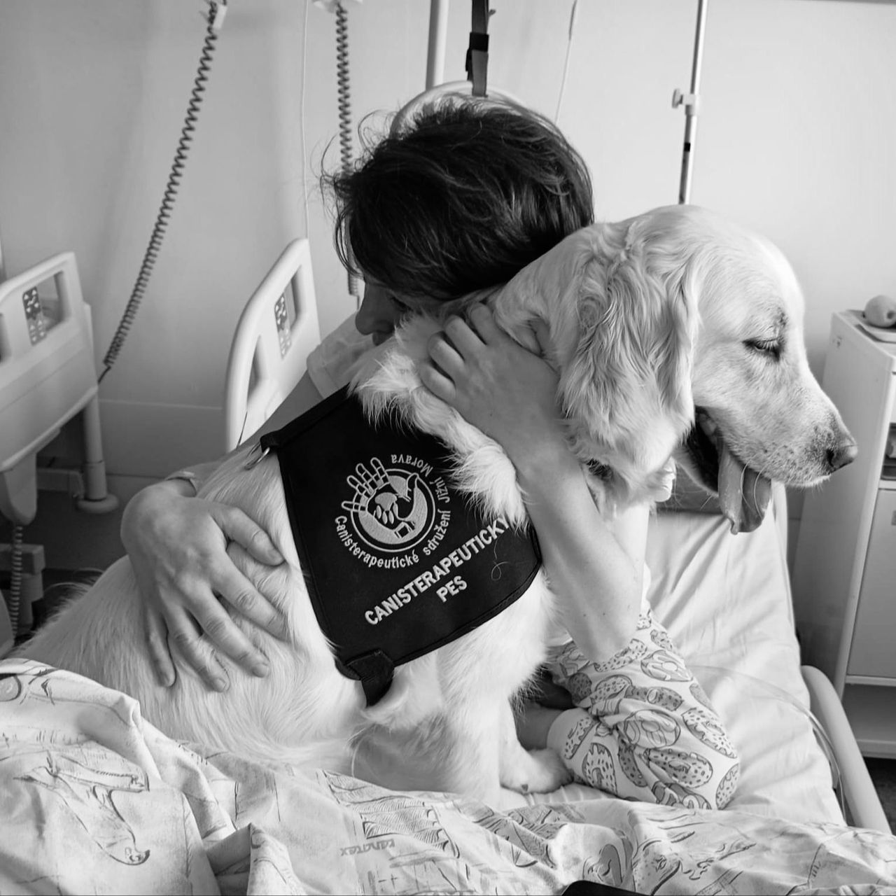 Soutěžní fotografie - Lotty,  Zlatý retriever
