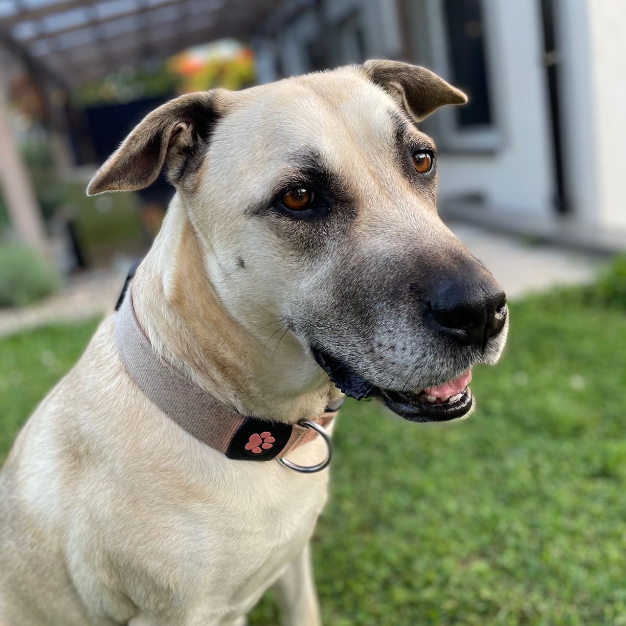 Soutěžní fotografie - Jessie,  Ostatní