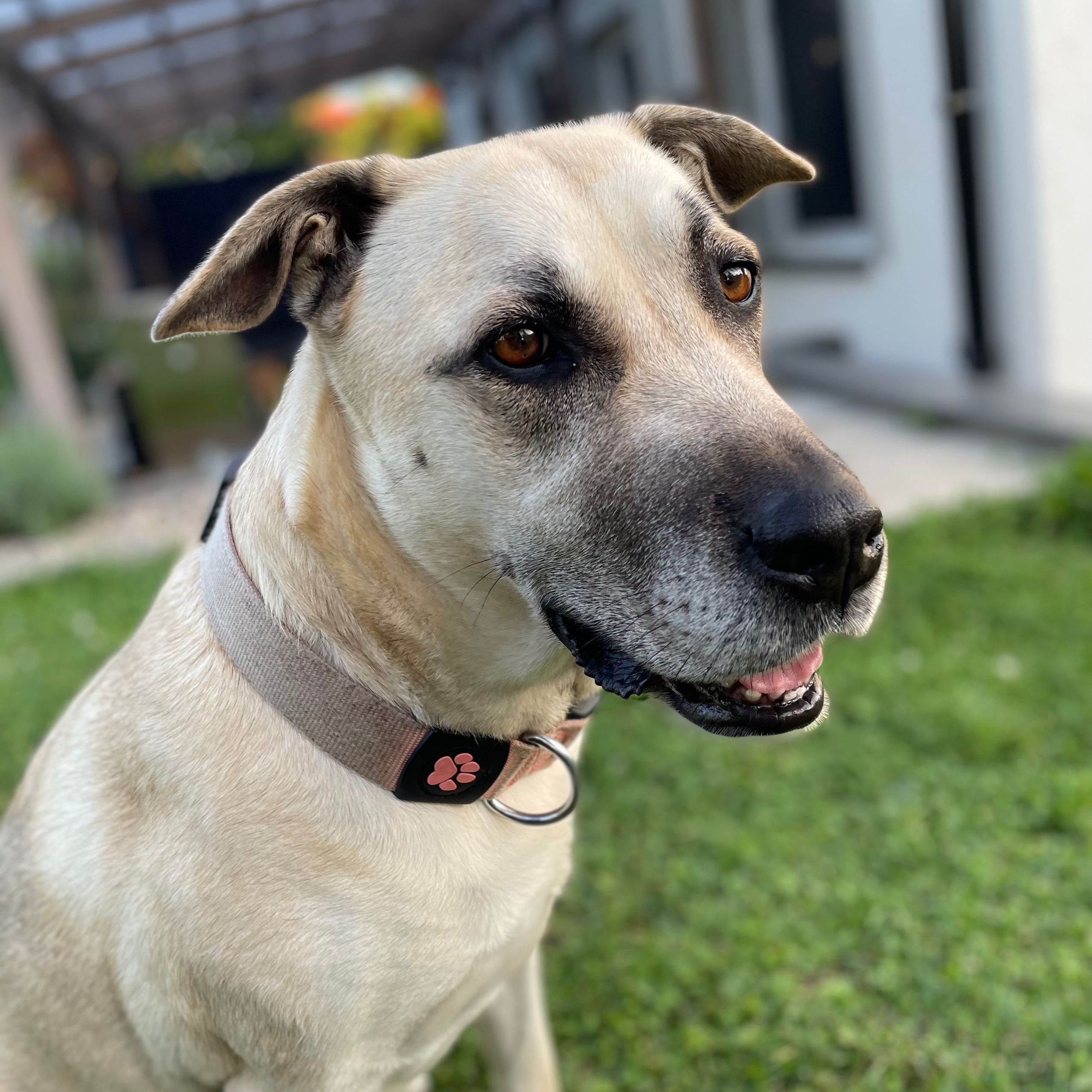 Soutěžní fotografie - Jessie,  Ostatní