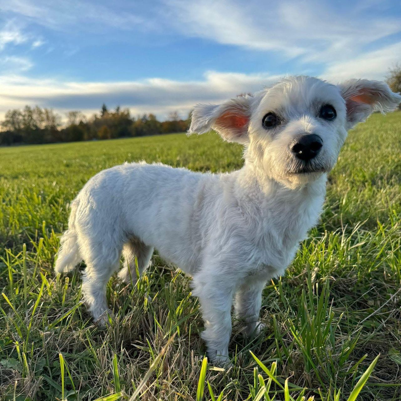 Soutěžní fotografie - Sofi,  Ostatní