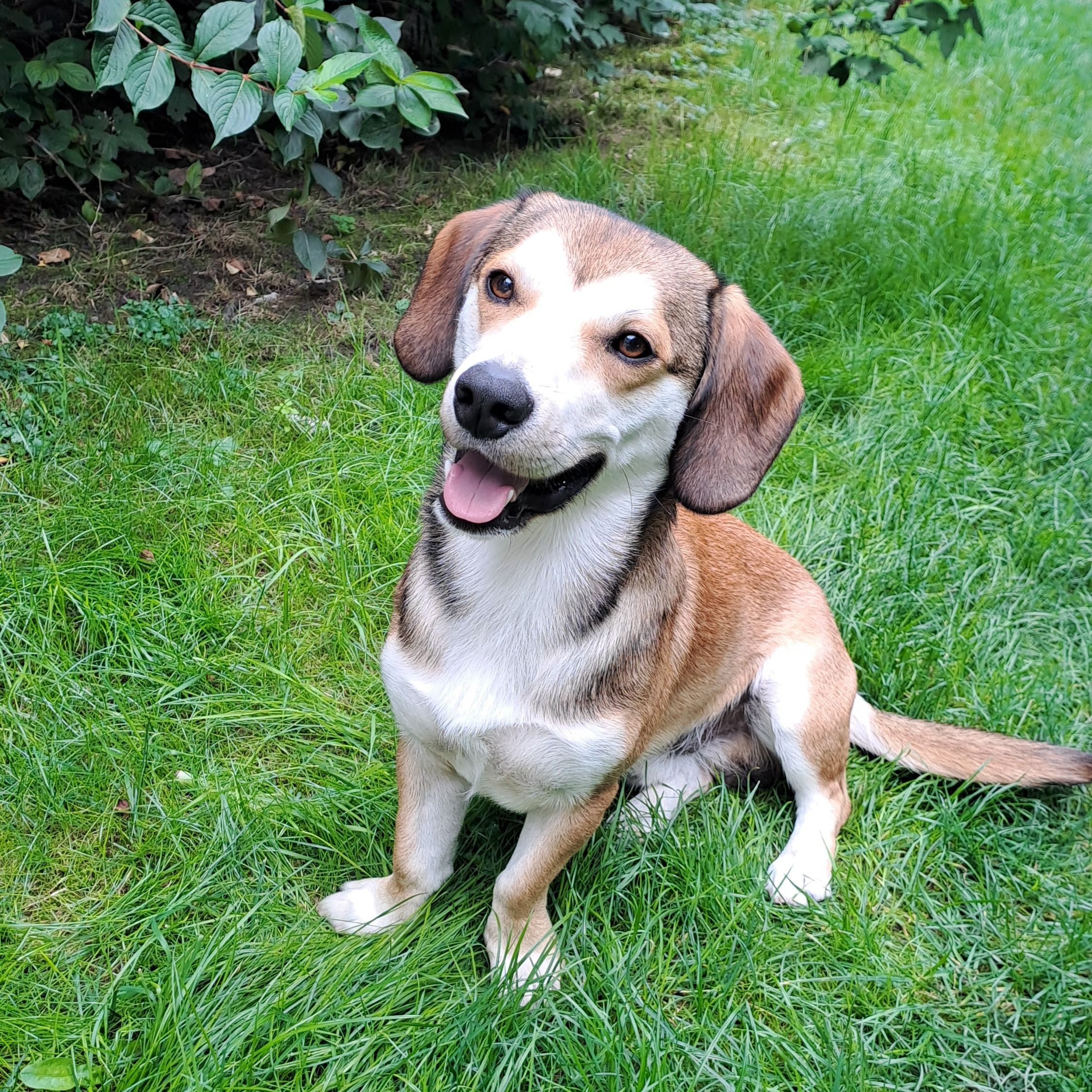 Soutěžní fotografie - Hugo,  Ostatní