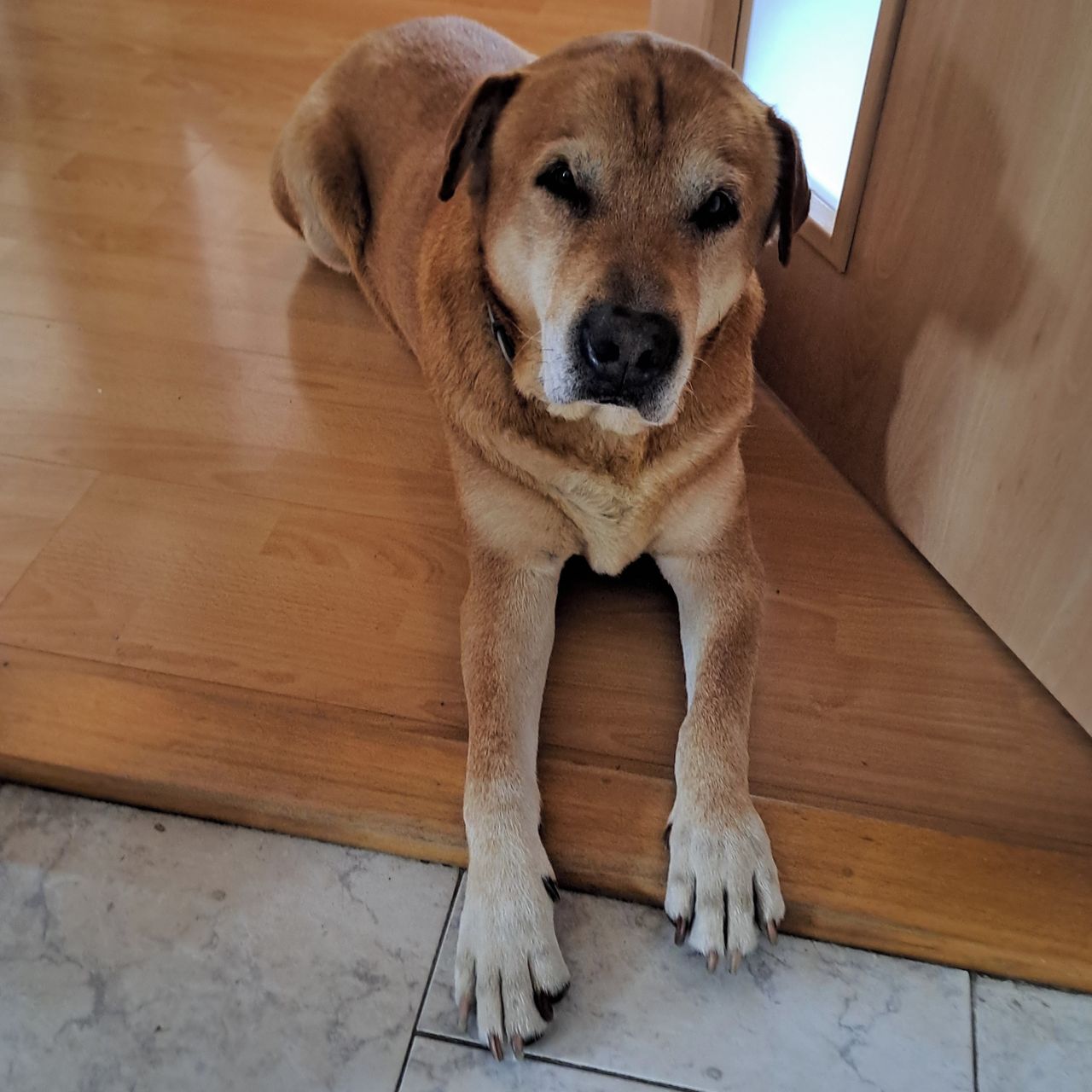 Soutěžní fotografie - Maxmilián,  Ostatní