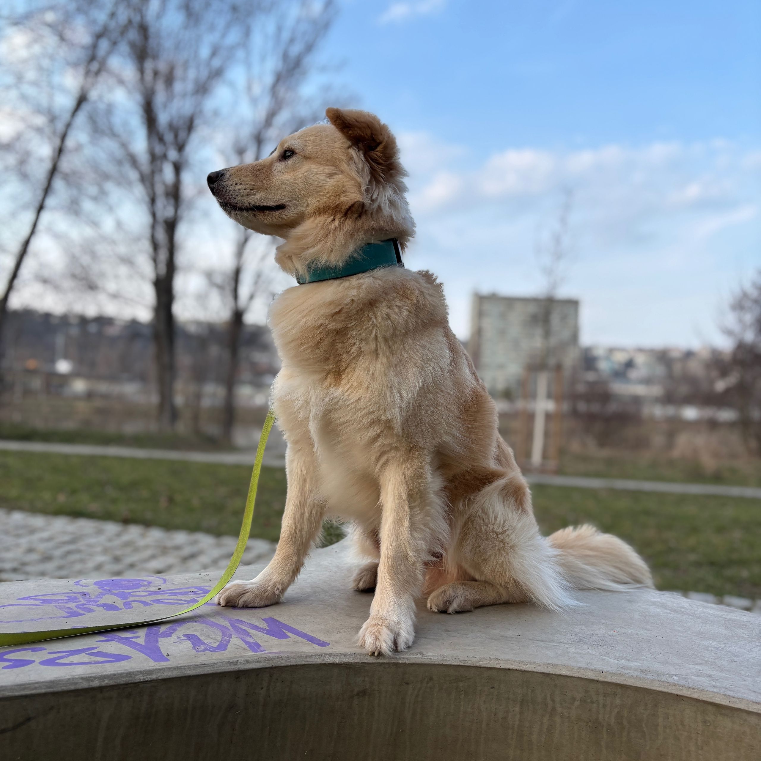 Soutěžní fotografie - Piškot,  Ostatní