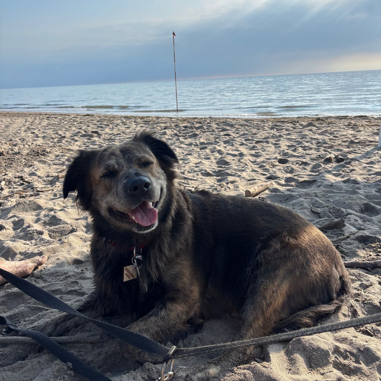 Soutěžní fotografie - Honey,  Ostatní