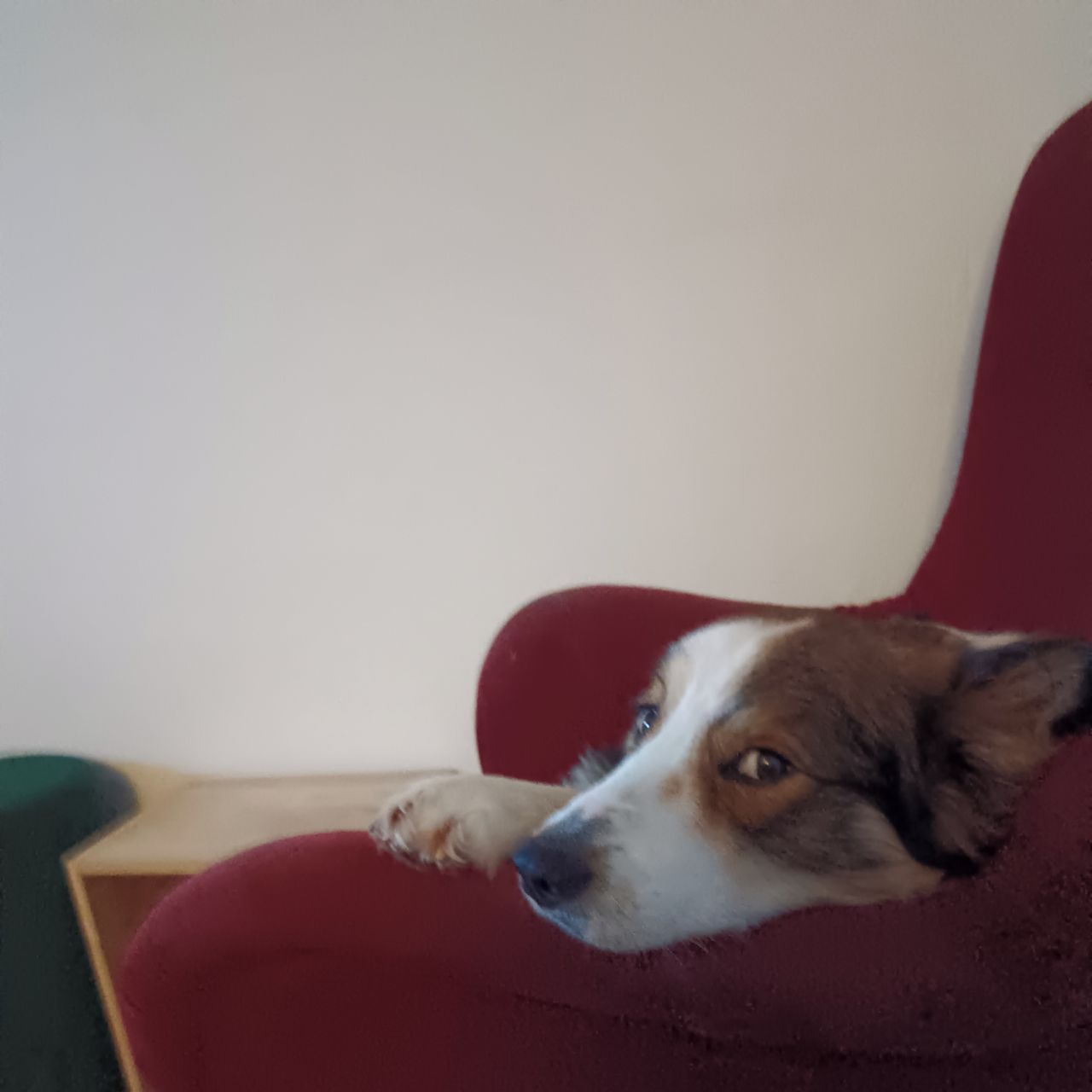 Soutěžní fotografie - Johnny Bambito,  Ostatní