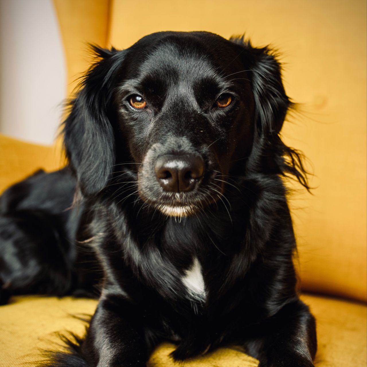 Soutěžní fotografie - Sušenka,  Ostatní