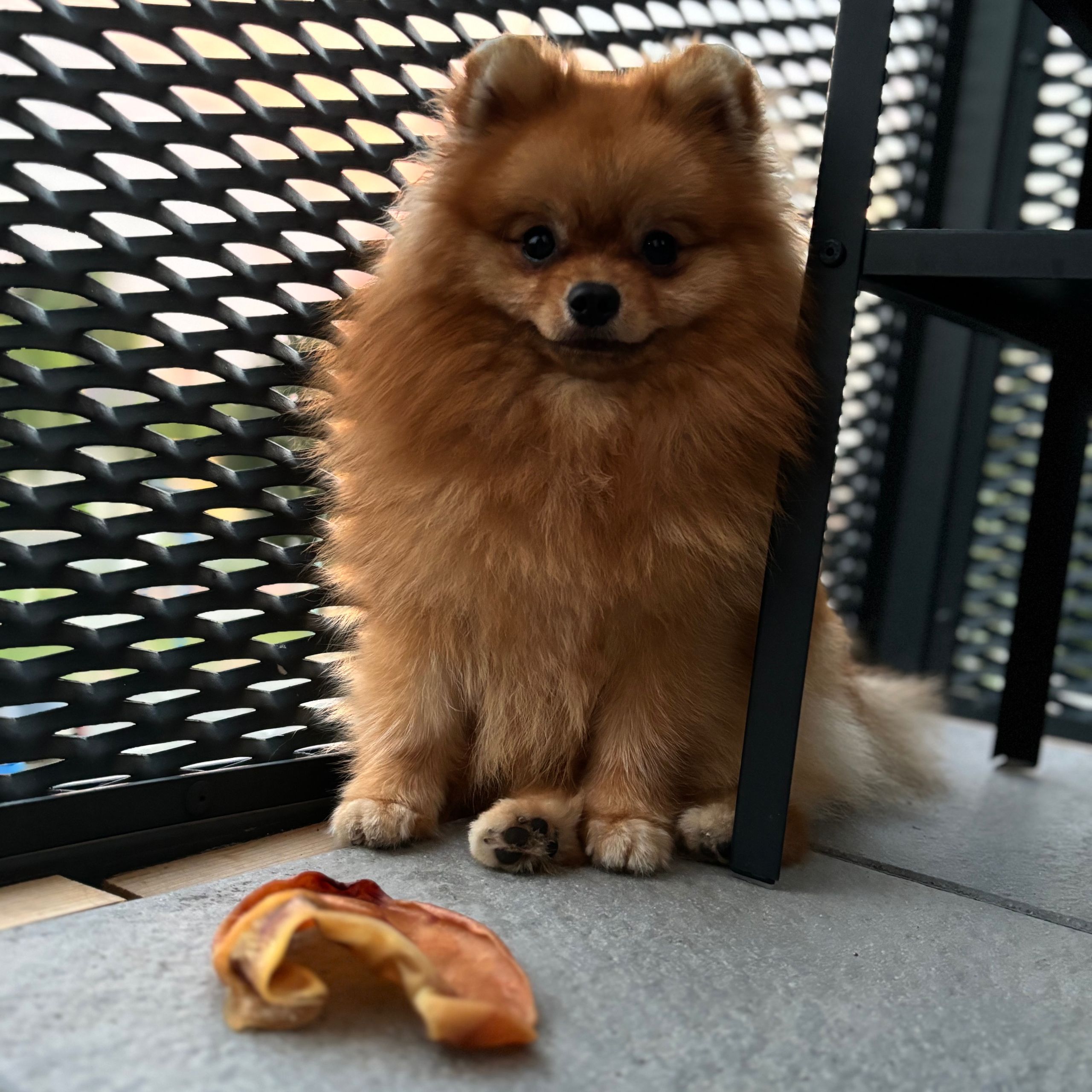 Soutěžní fotografie - Arčí,  Ostatní