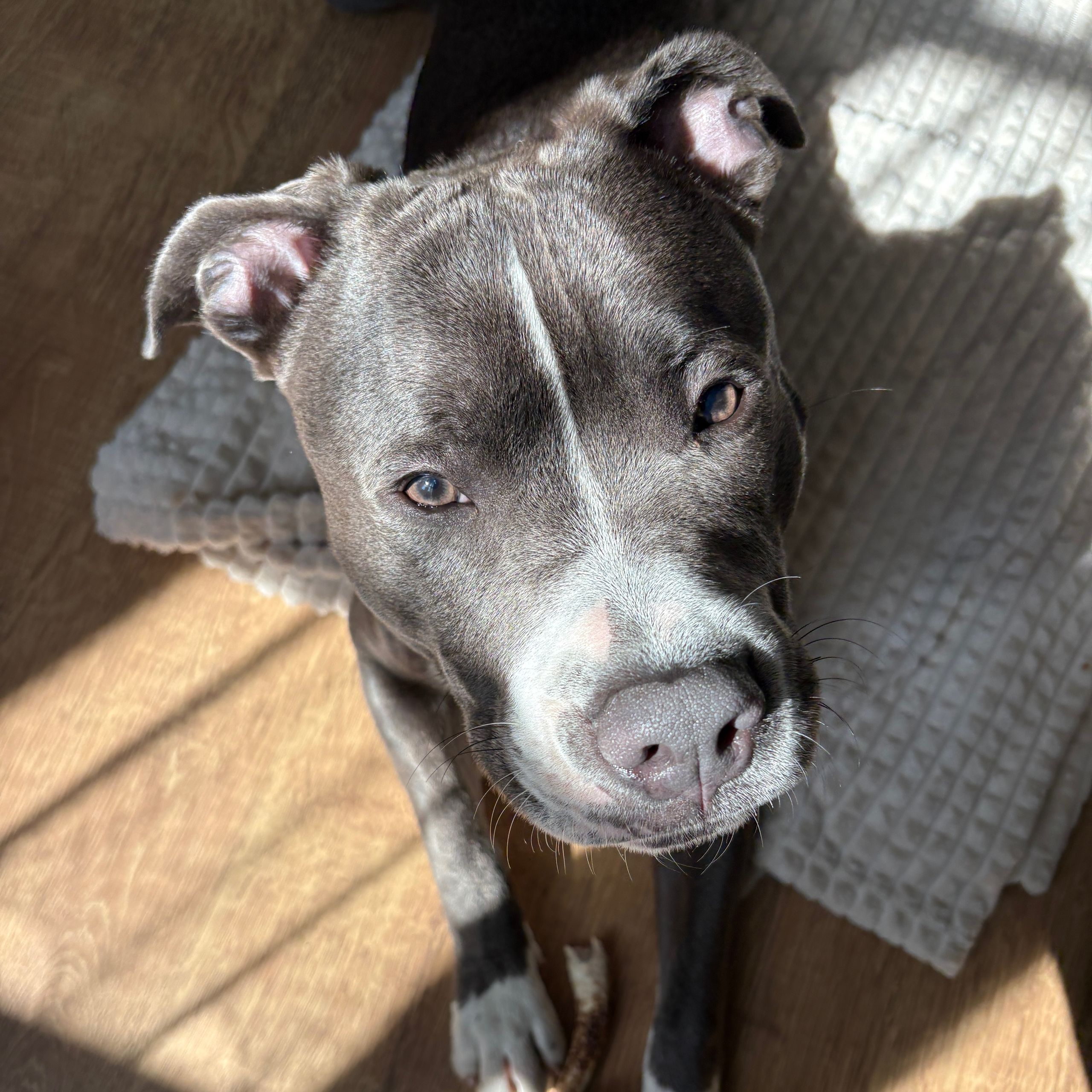 Soutěžní fotografie - Scooby-doo,  Ostatní