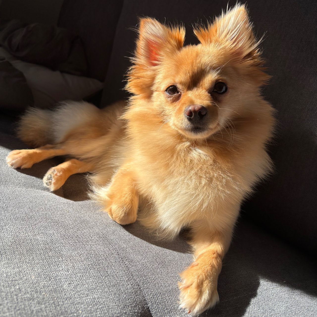 Soutěžní fotografie - Beky,  Ostatní