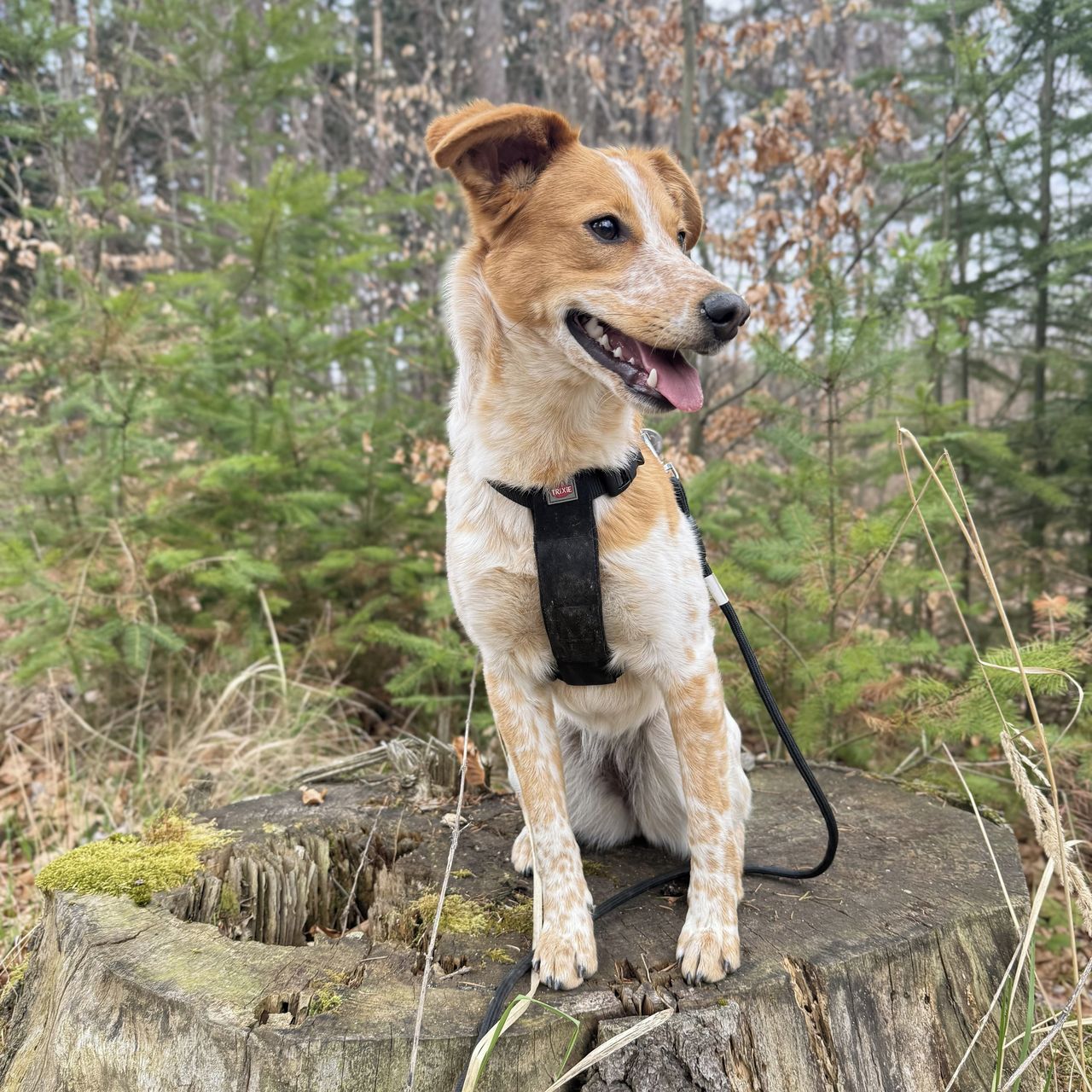 Soutěžní fotografie - Michell,  Ostatní