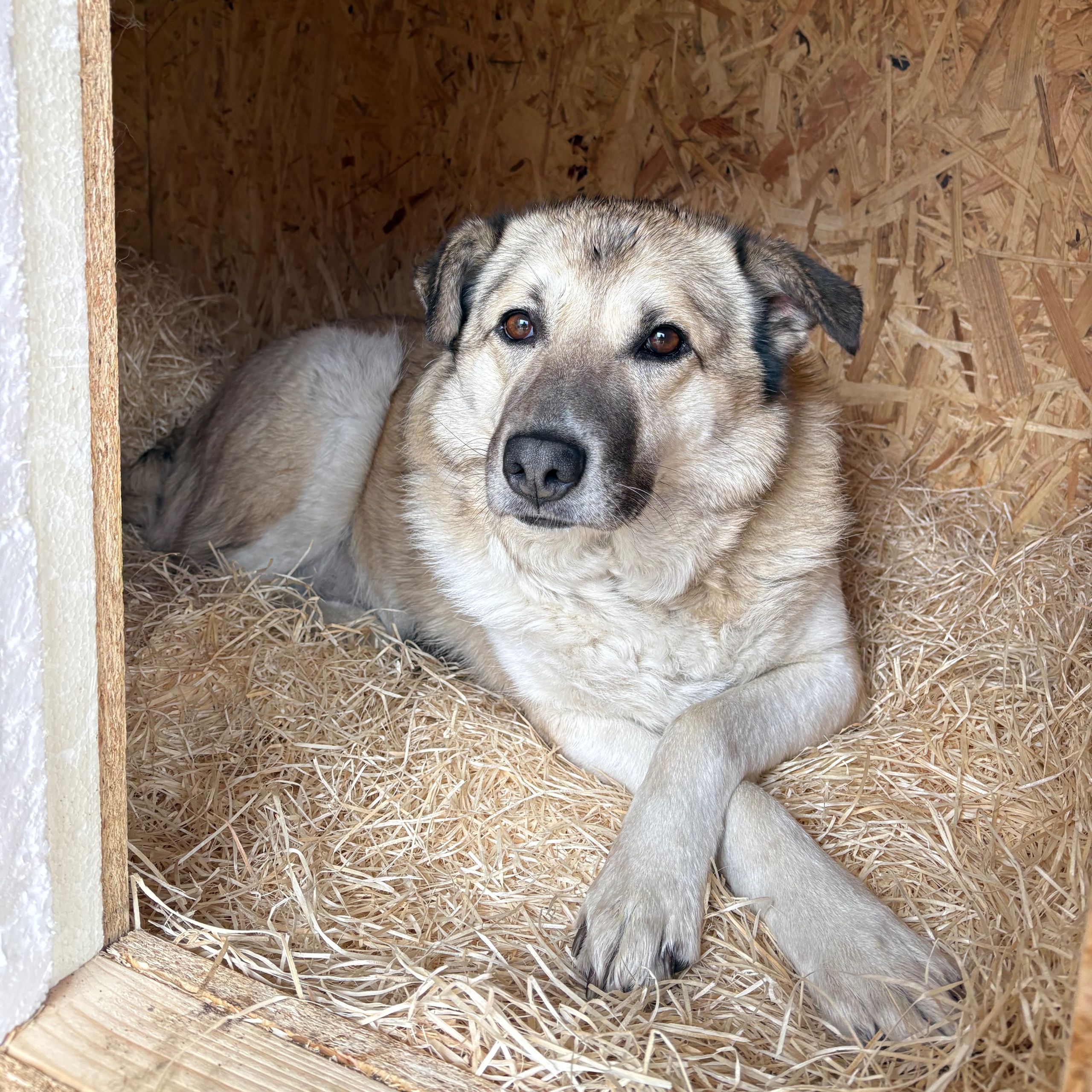 Soutěžní fotografie - Fanny,  Ostatní