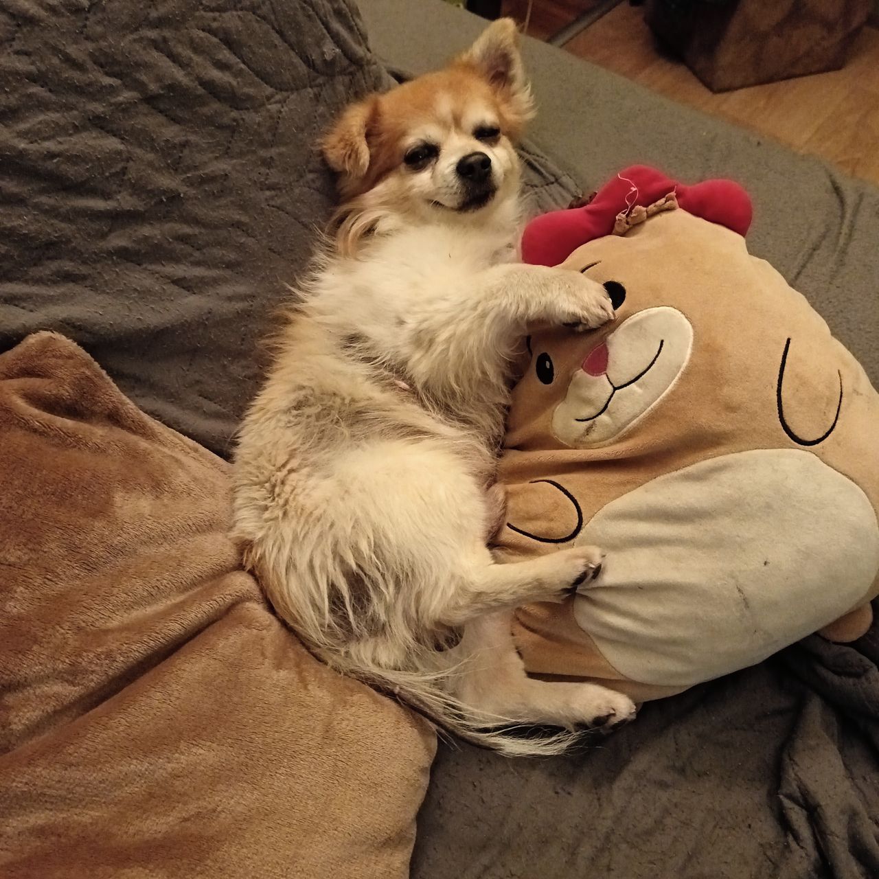 Soutěžní fotografie - Vilík,  Ostatní