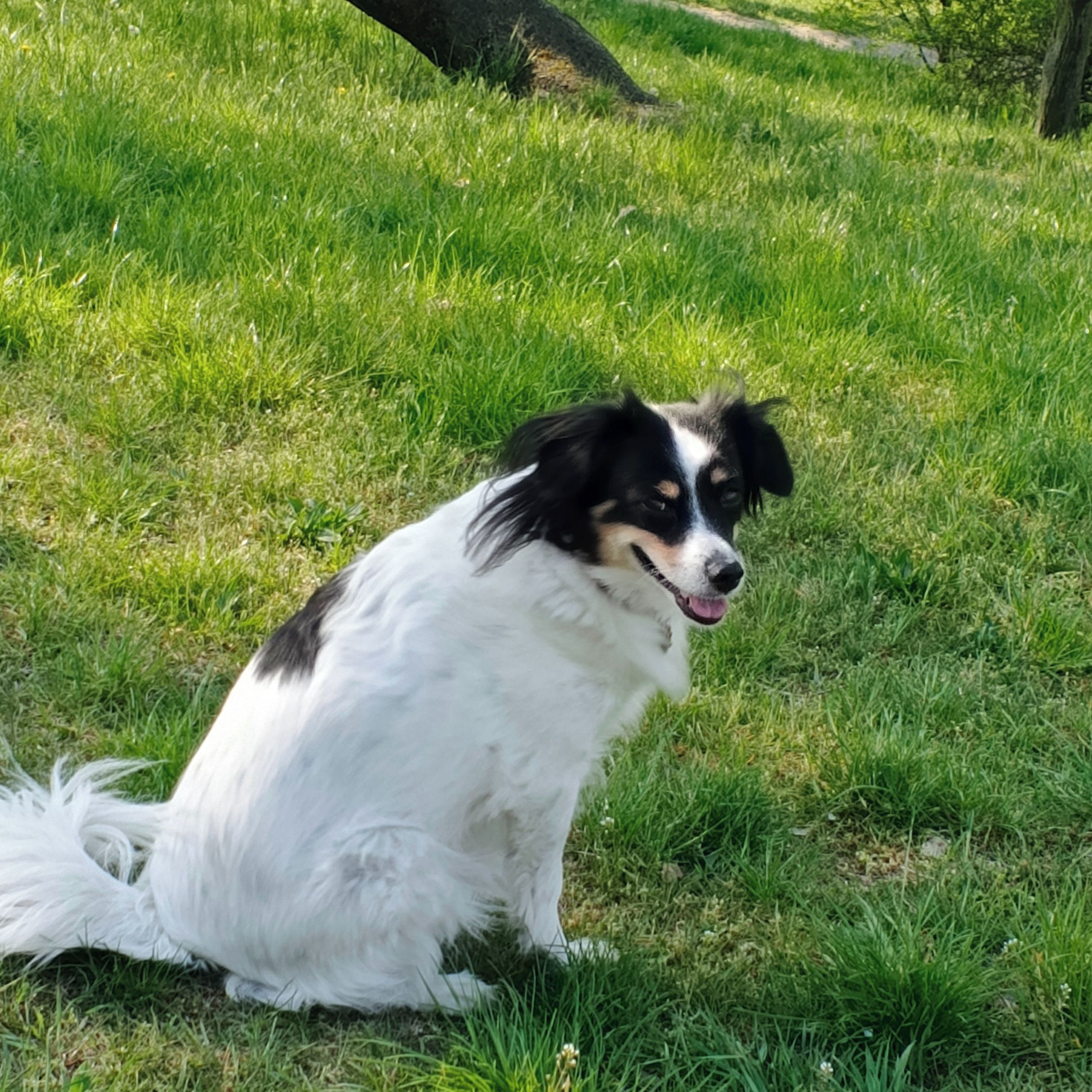 Soutěžní fotografie - Lakynka,  Ostatní