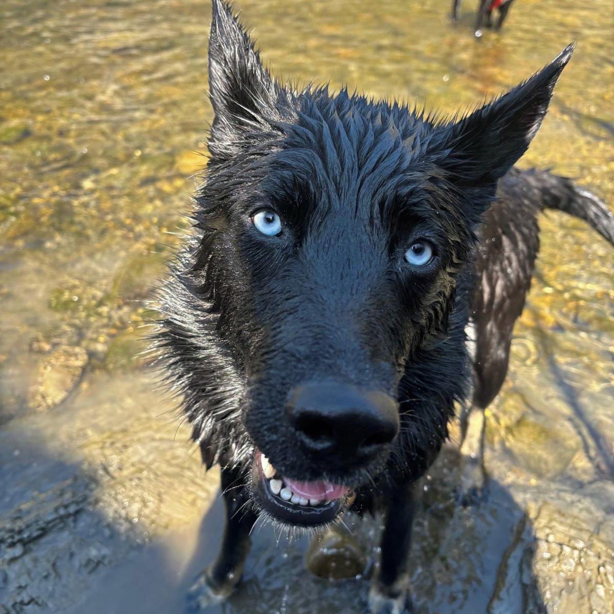 Soutěžní fotografie - Ennie,  Ostatní