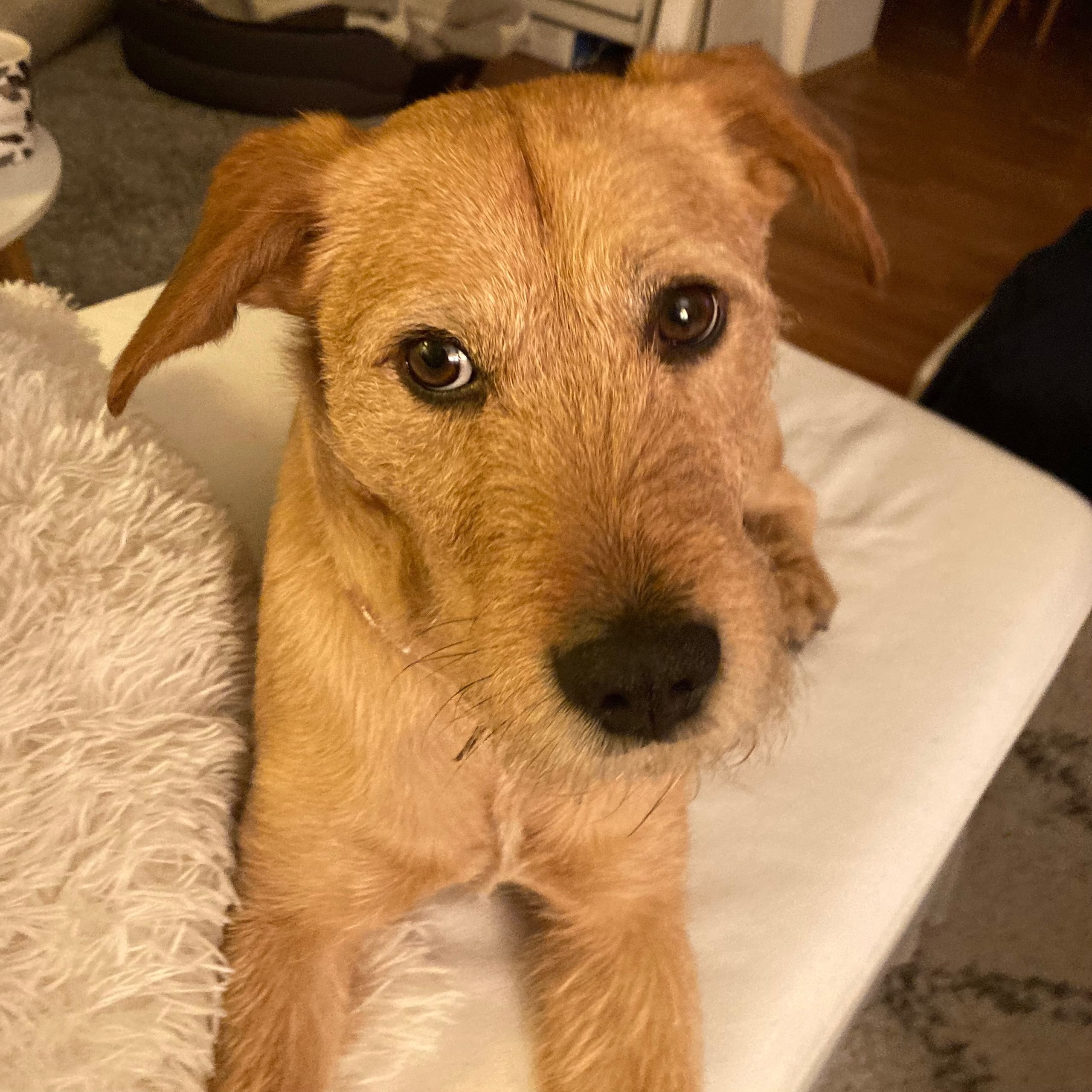 Soutěžní fotografie - Skiper,  Ostatní