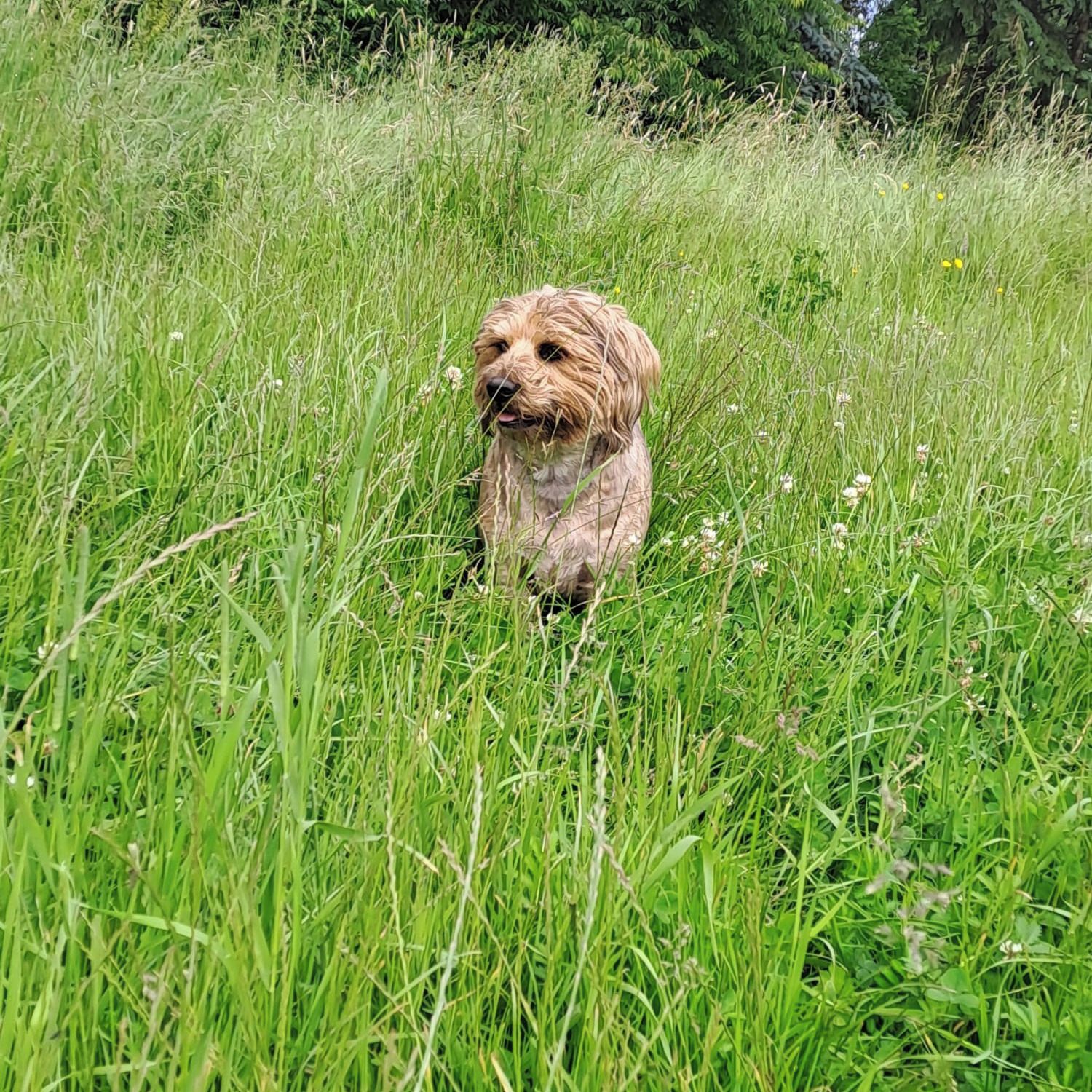 Soutěžní fotografie - Venda,  Ostatní