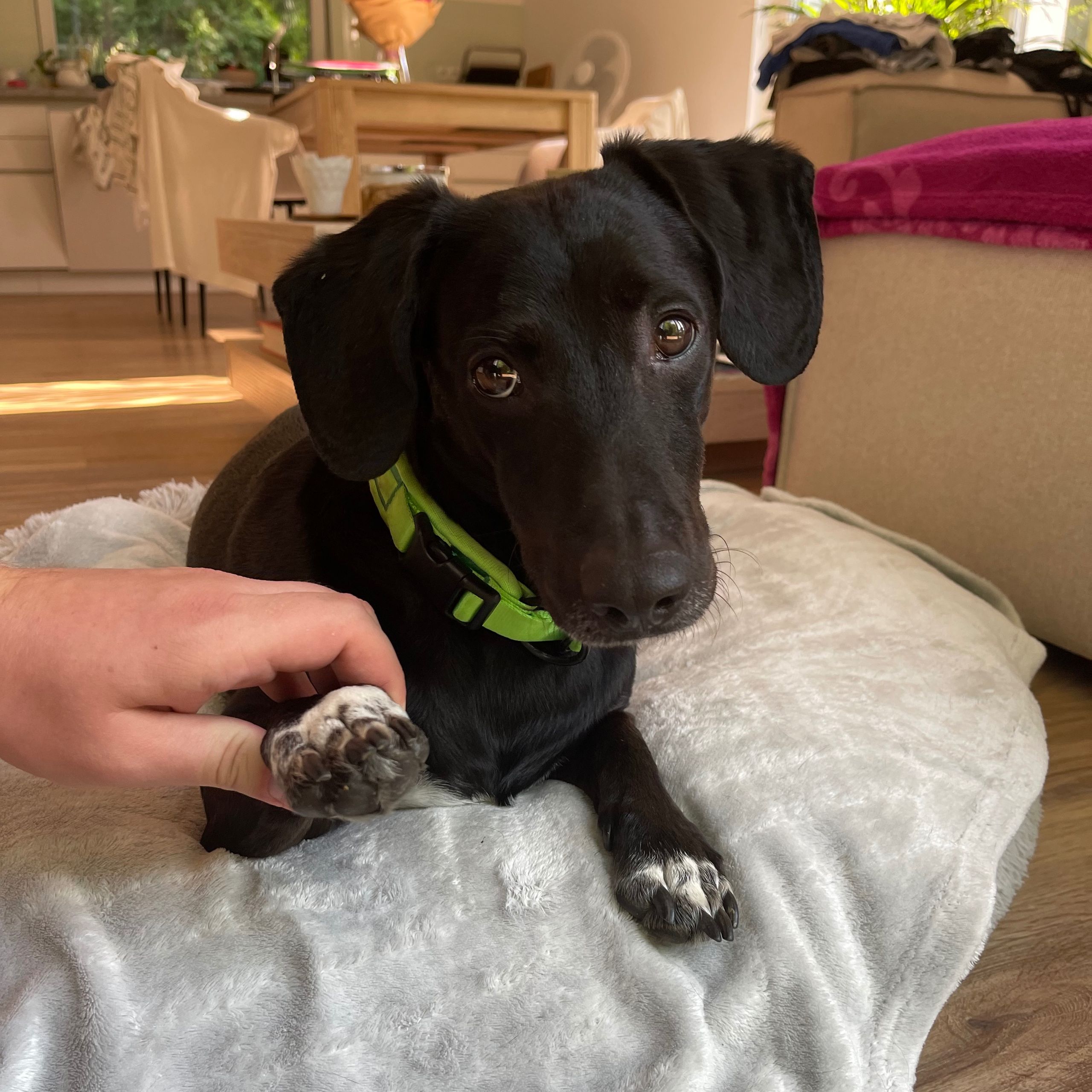 Soutěžní fotografie - Leoš,  Ostatní