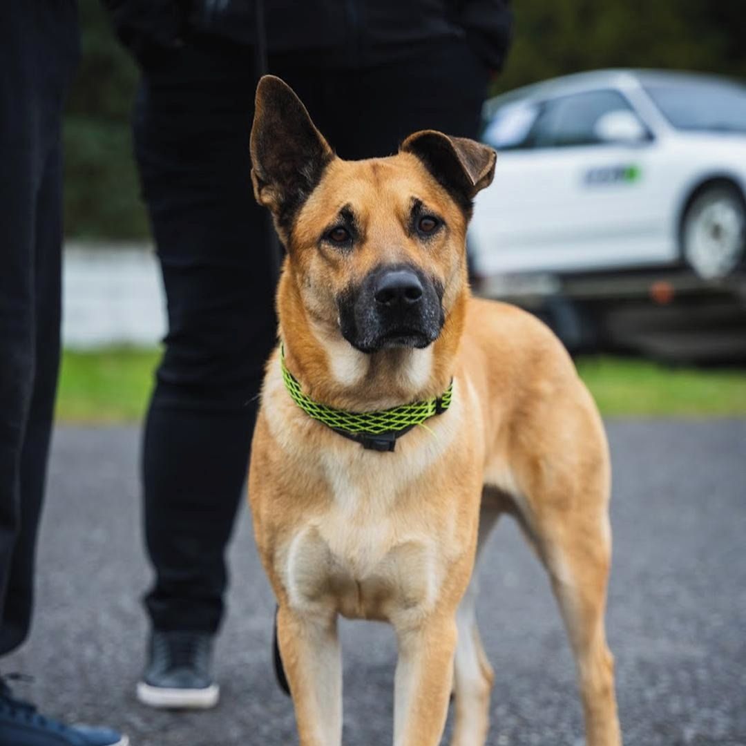 Soutěžní fotografie - Pan Barny,  Ostatní