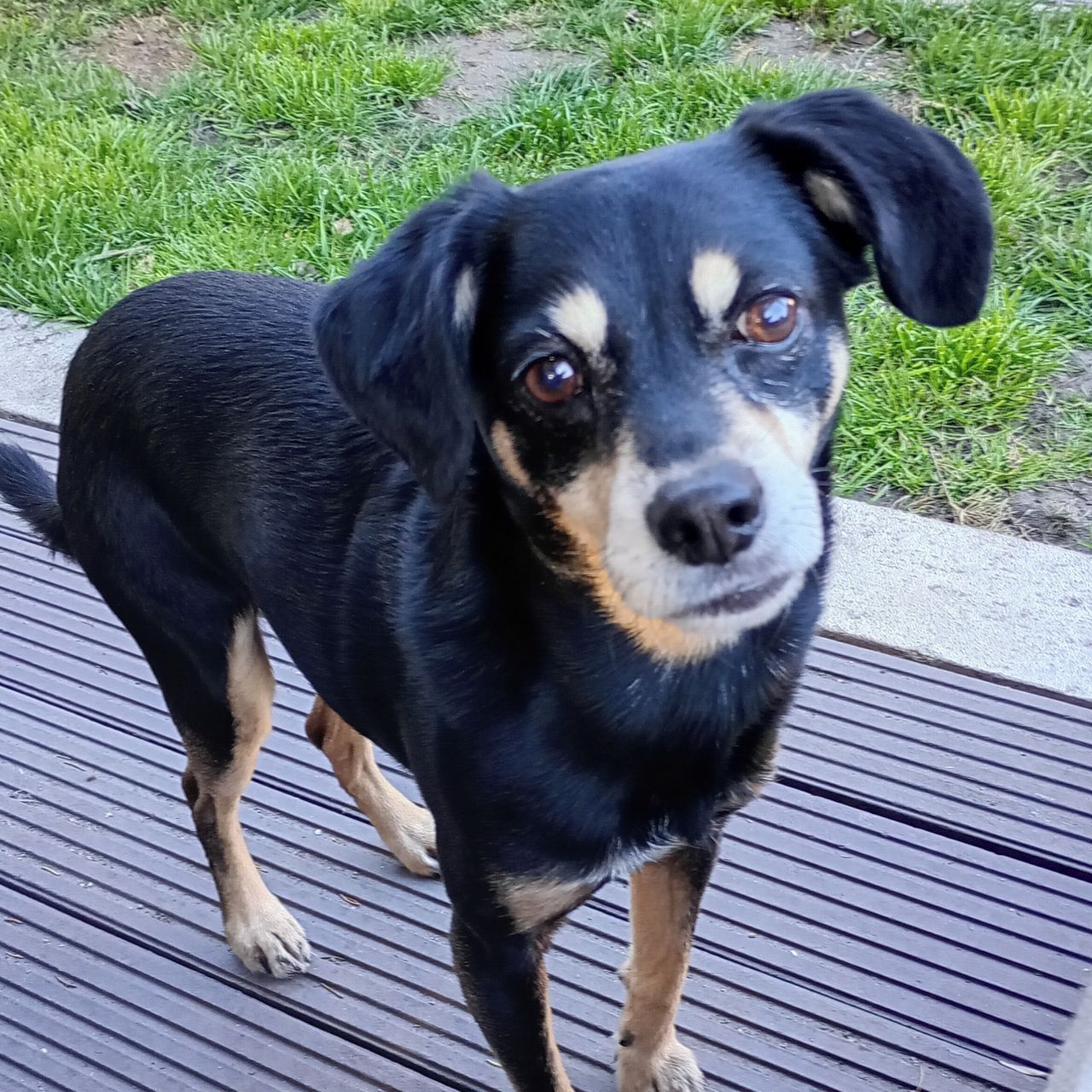 Soutěžní fotografie - Chupíto,  Ostatní