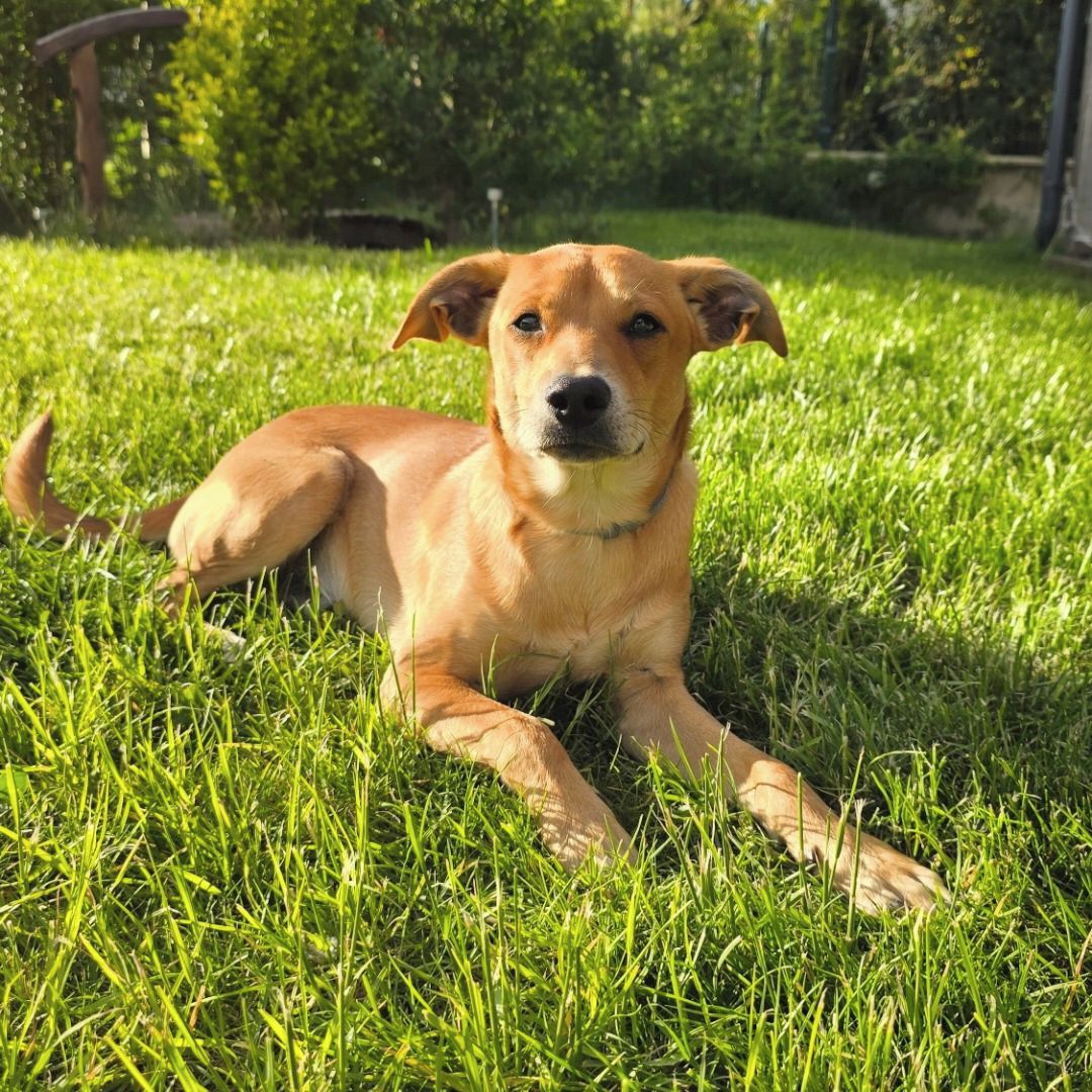 Soutěžní fotografie - Andy,  Ostatní