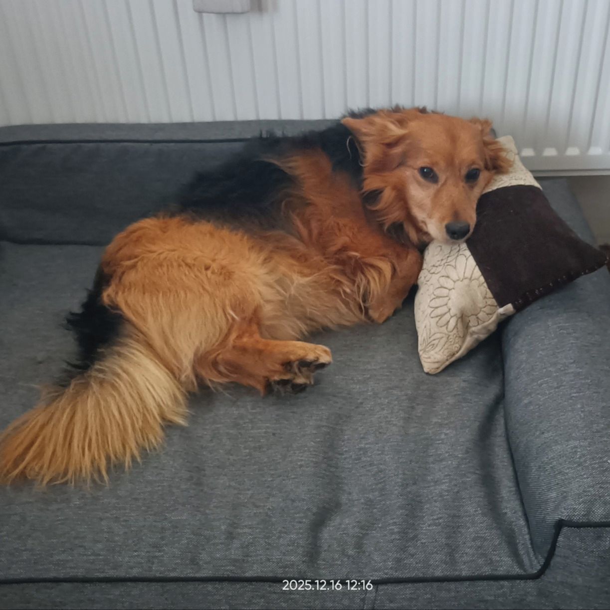 Soutěžní fotografie - Benda,  Ostatní