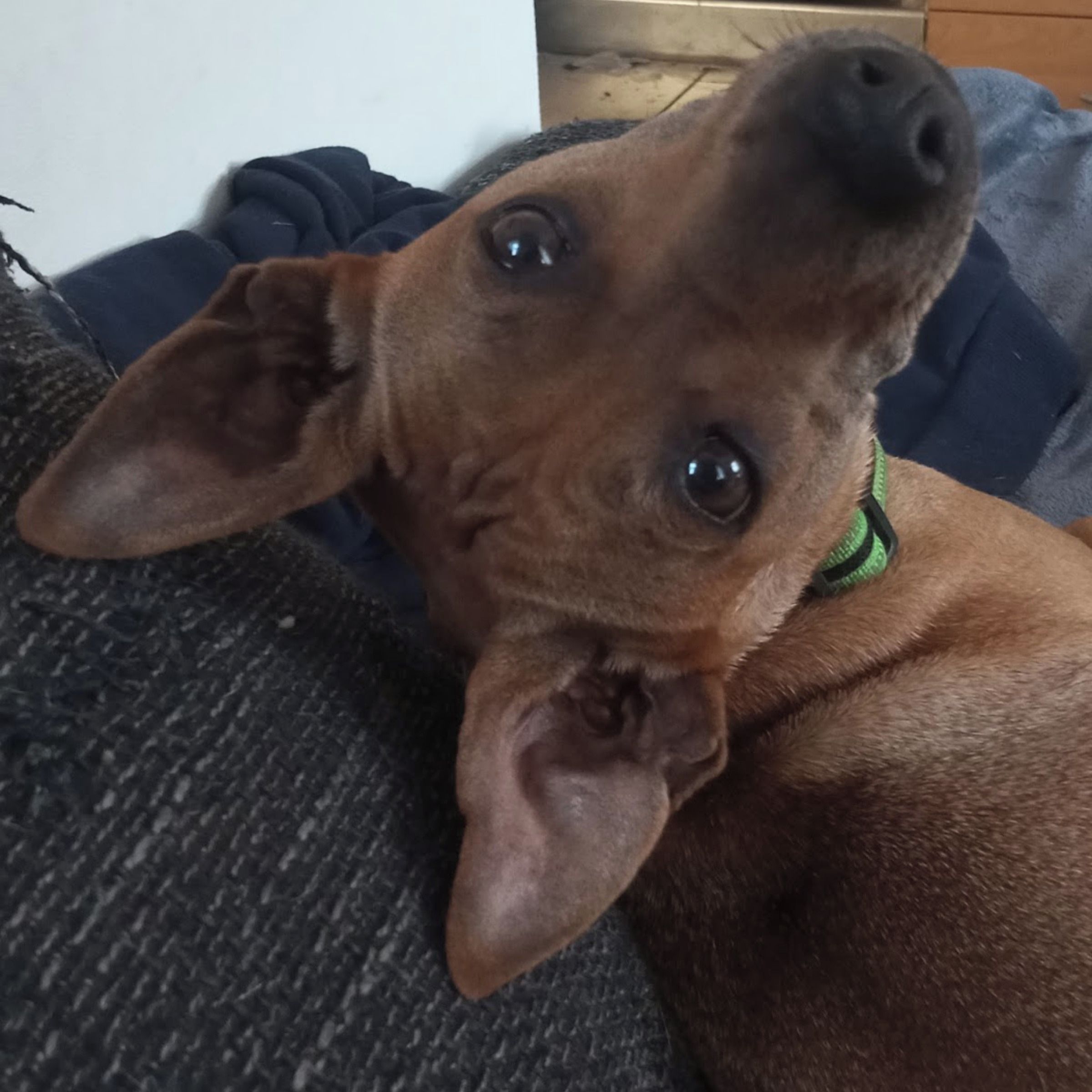 Soutěžní fotografie - Ejmi,  Ostatní