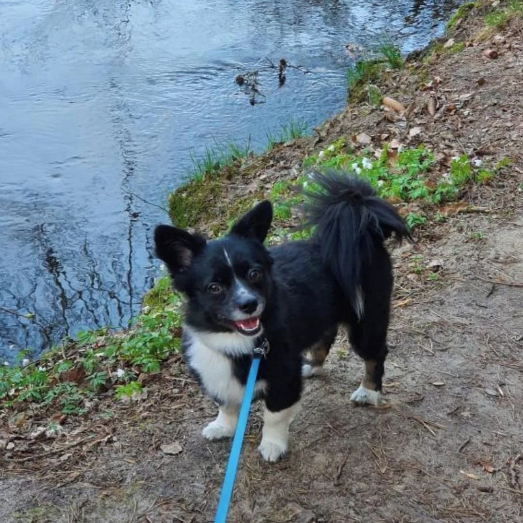 Soutěžní fotografie - Miky,  Ostatní