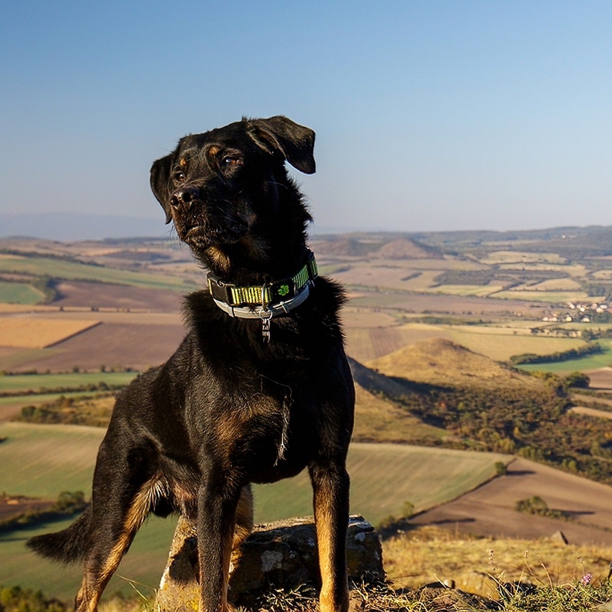 Soutěžní fotografie - HAGRID,  Ostatní