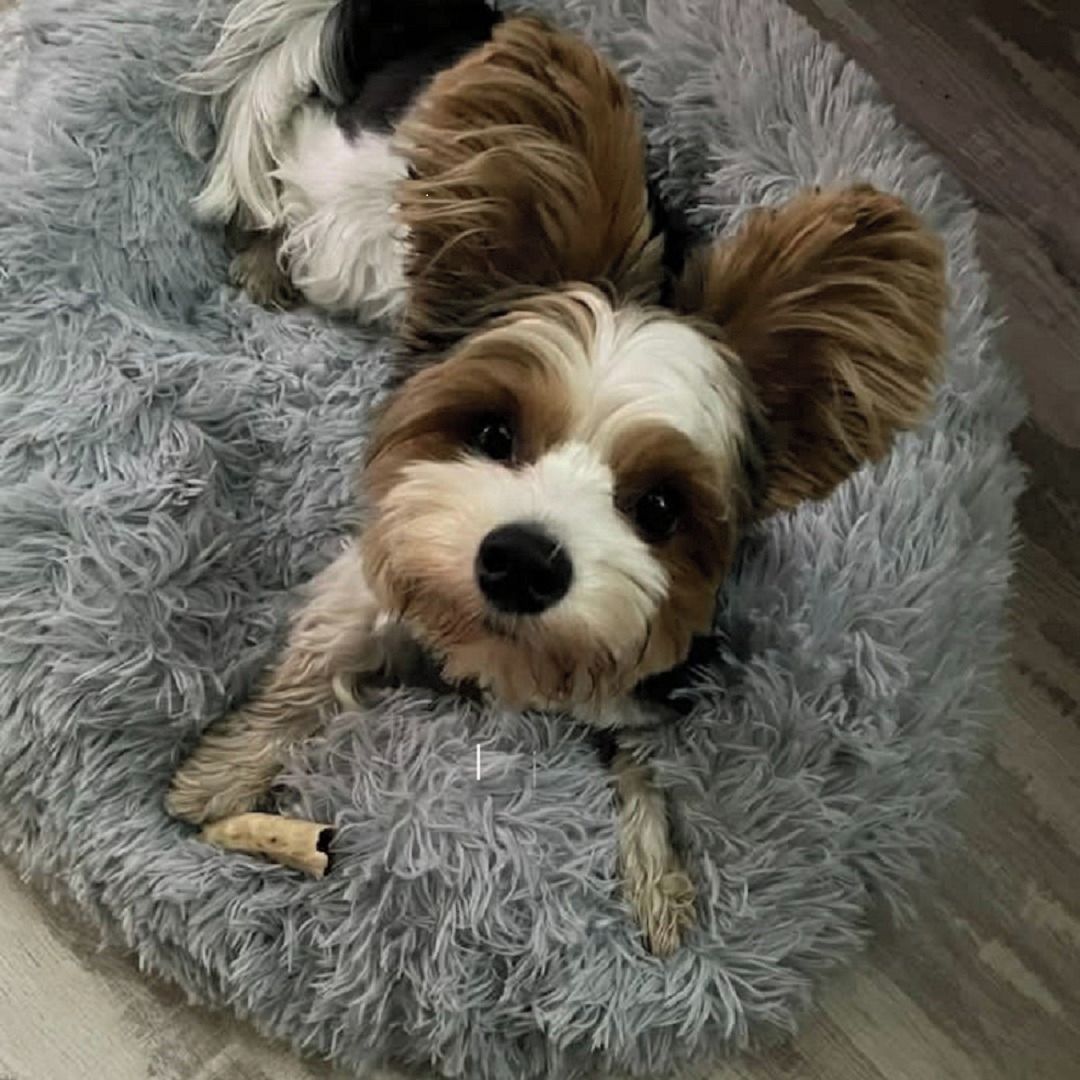 Soutěžní fotografie - ARI,  Ostatní